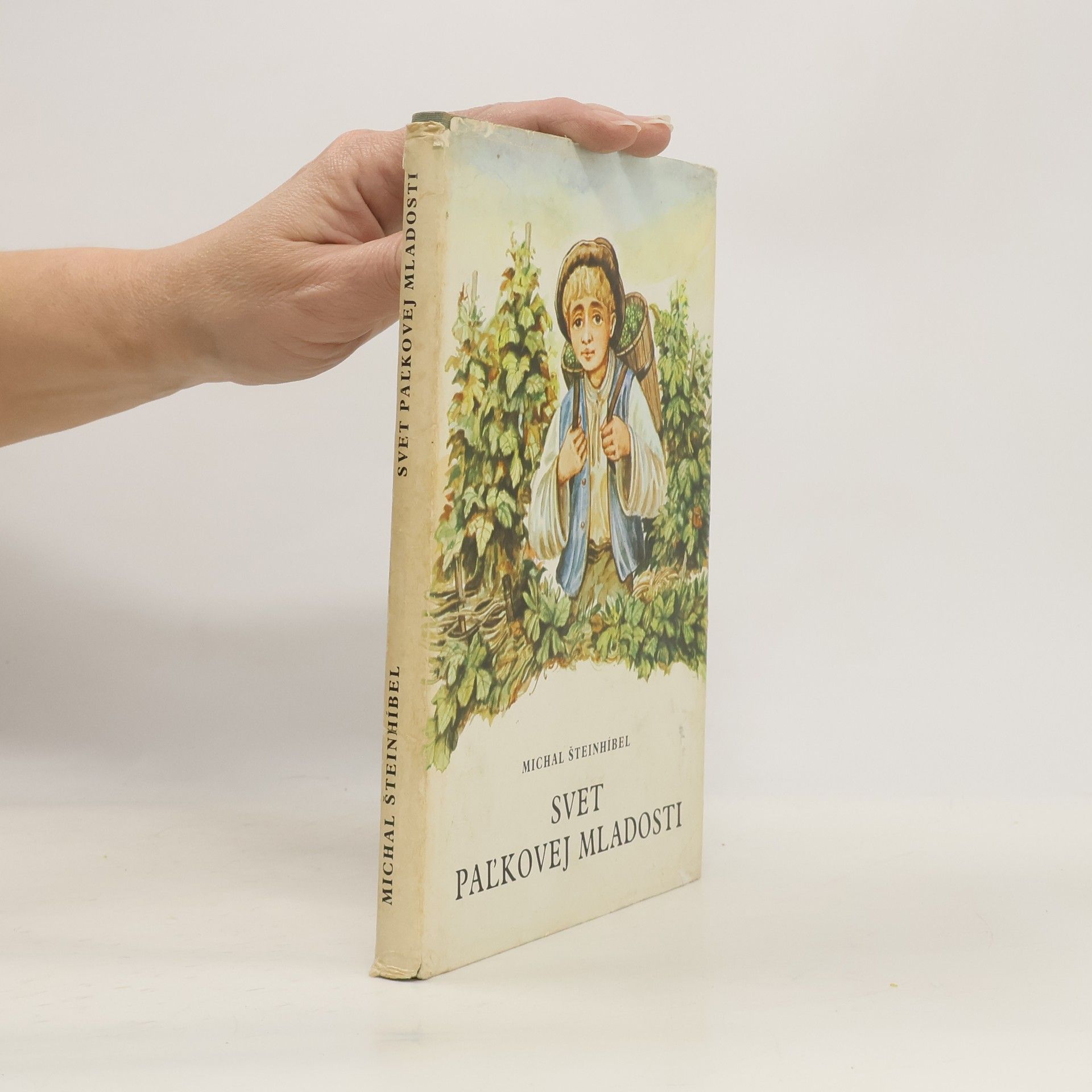 Svet Paľkovej mladosti