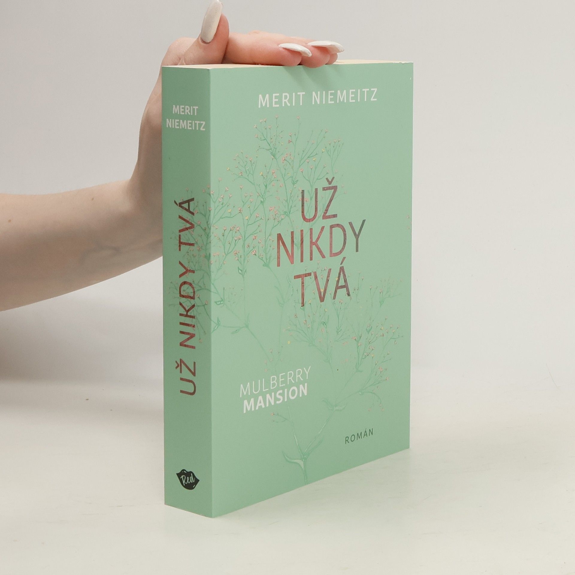 Merit Niemeitz Už nikdy tvá