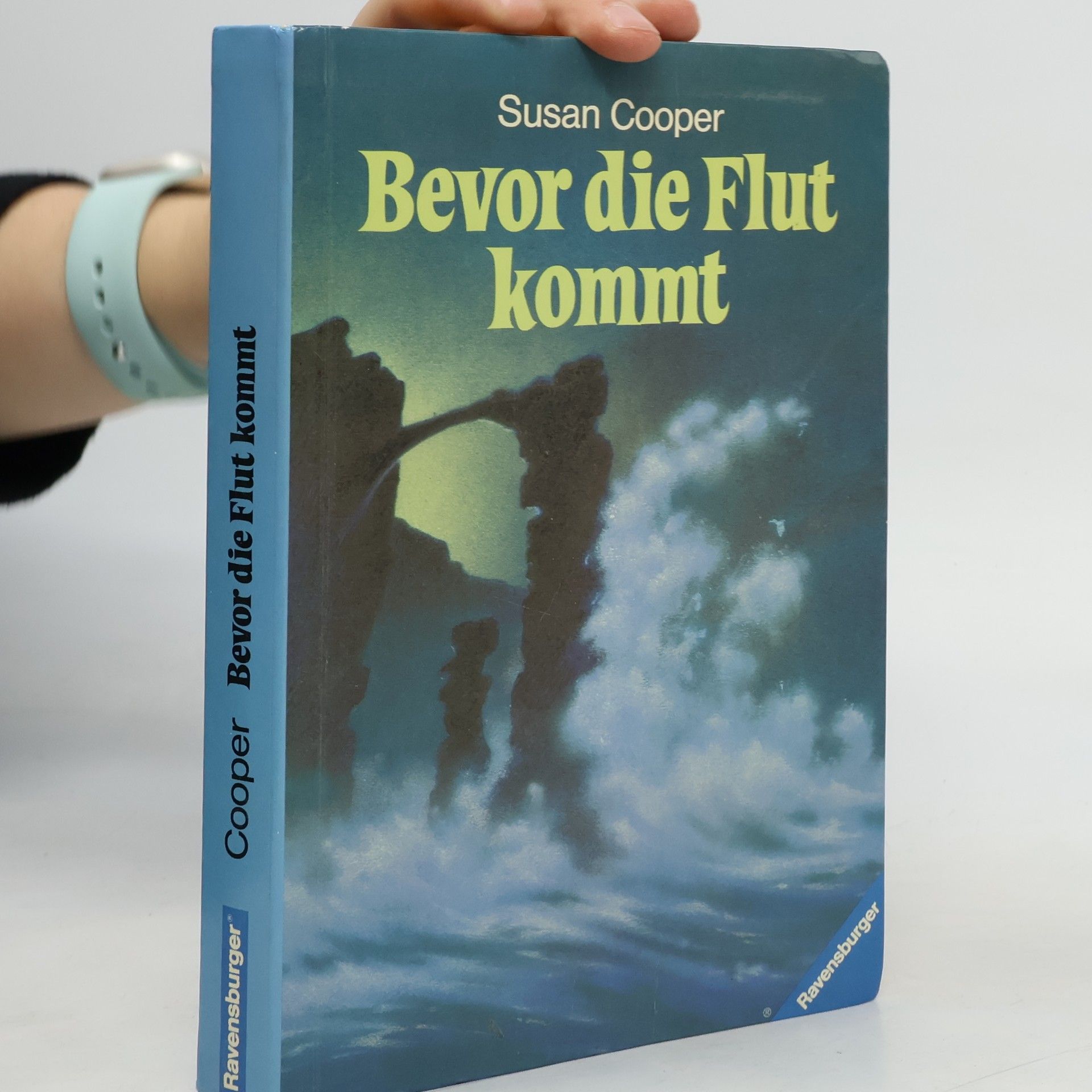Susan Cooper Bevor die Flut kommt