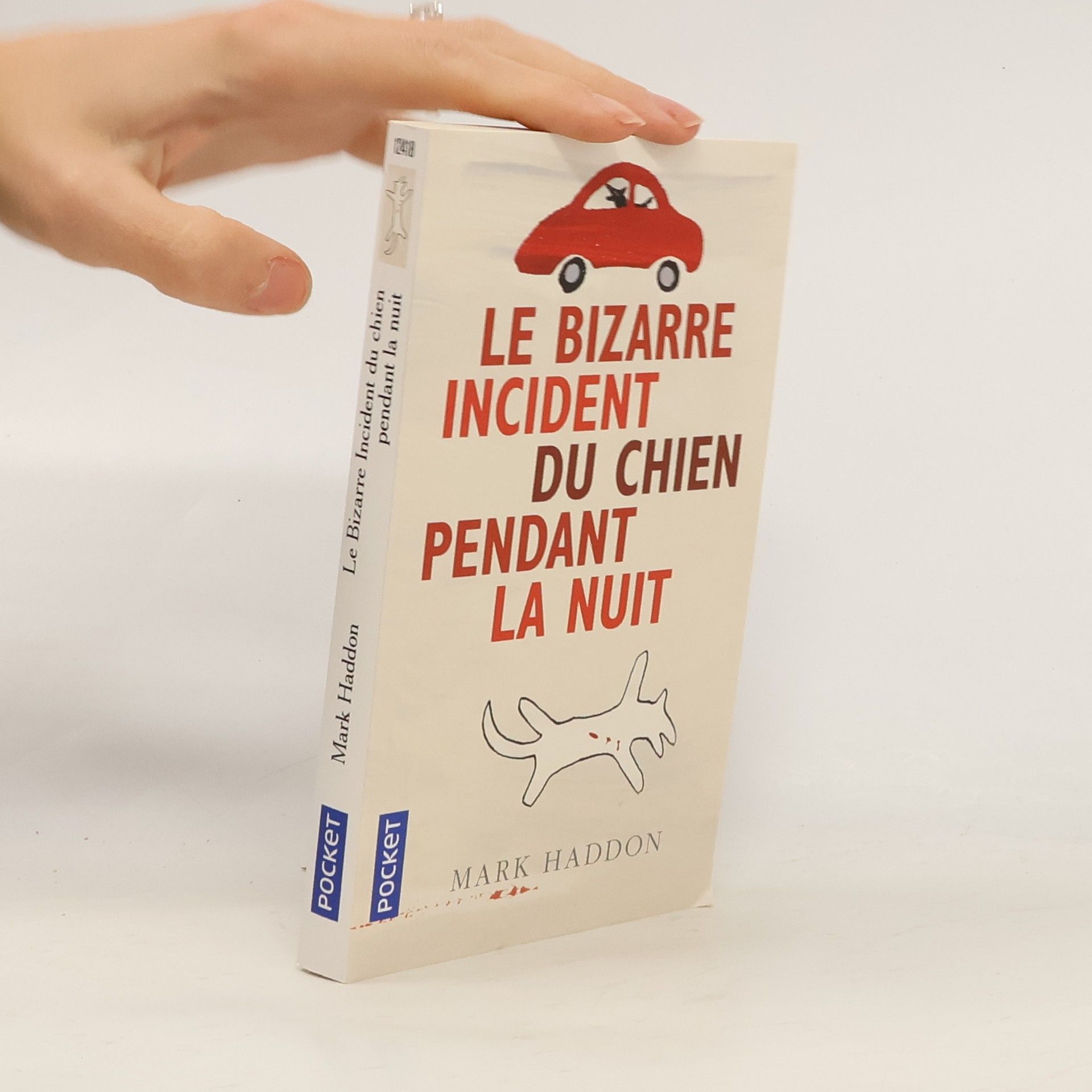 Le bizarre incident du chien pendant la nuit