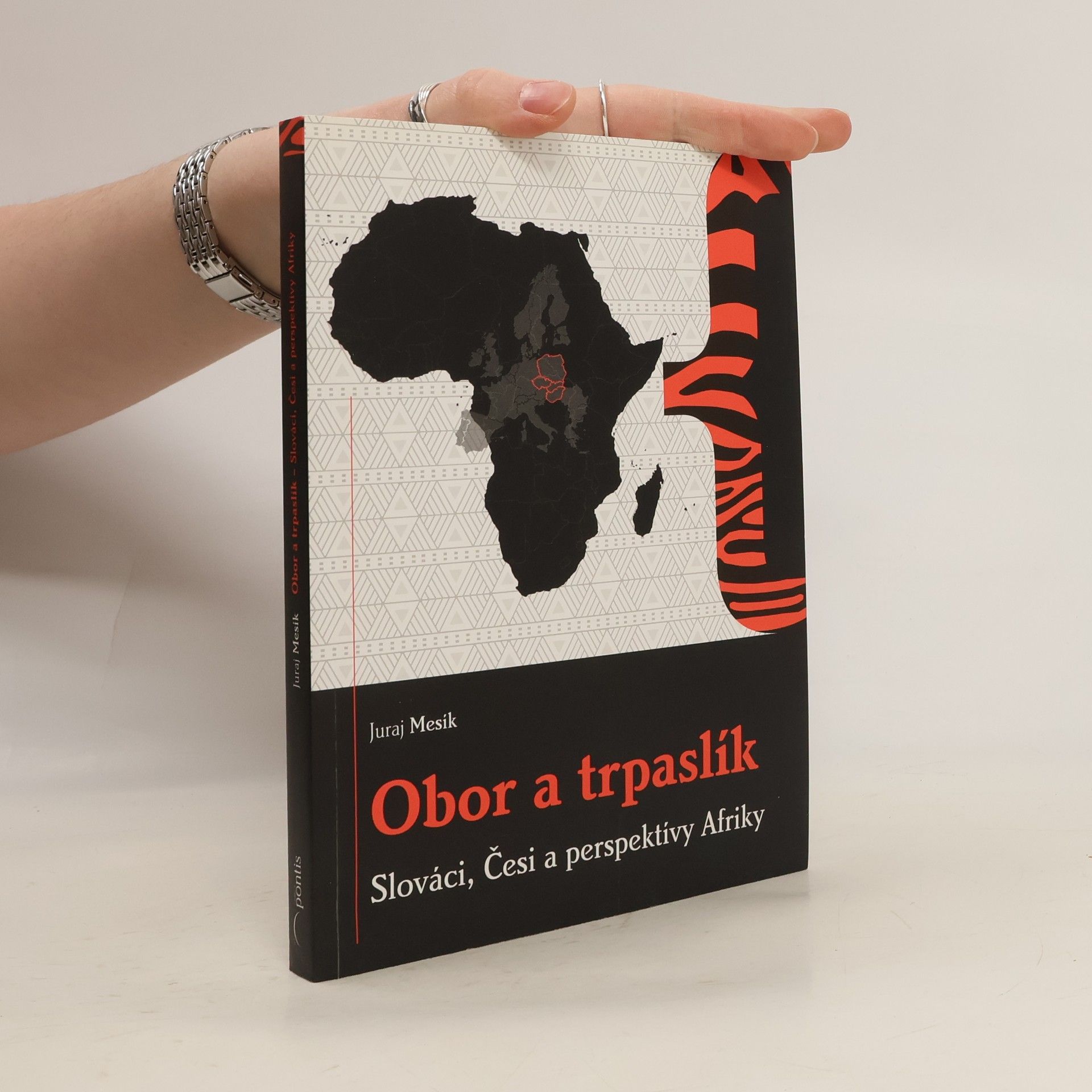 Obor a trpaslík : Slováci, Česi a perspektívy Afriky