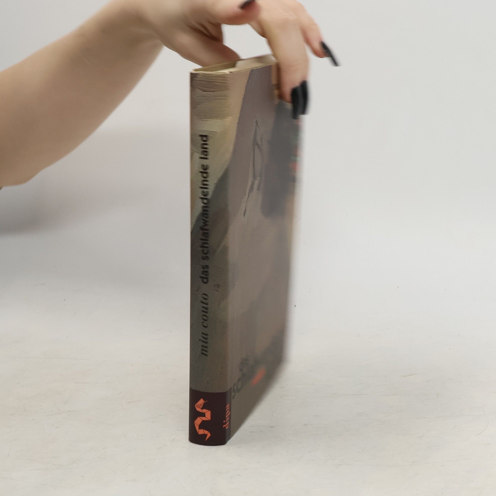 Mia Couto Das schlafwandelnde Land