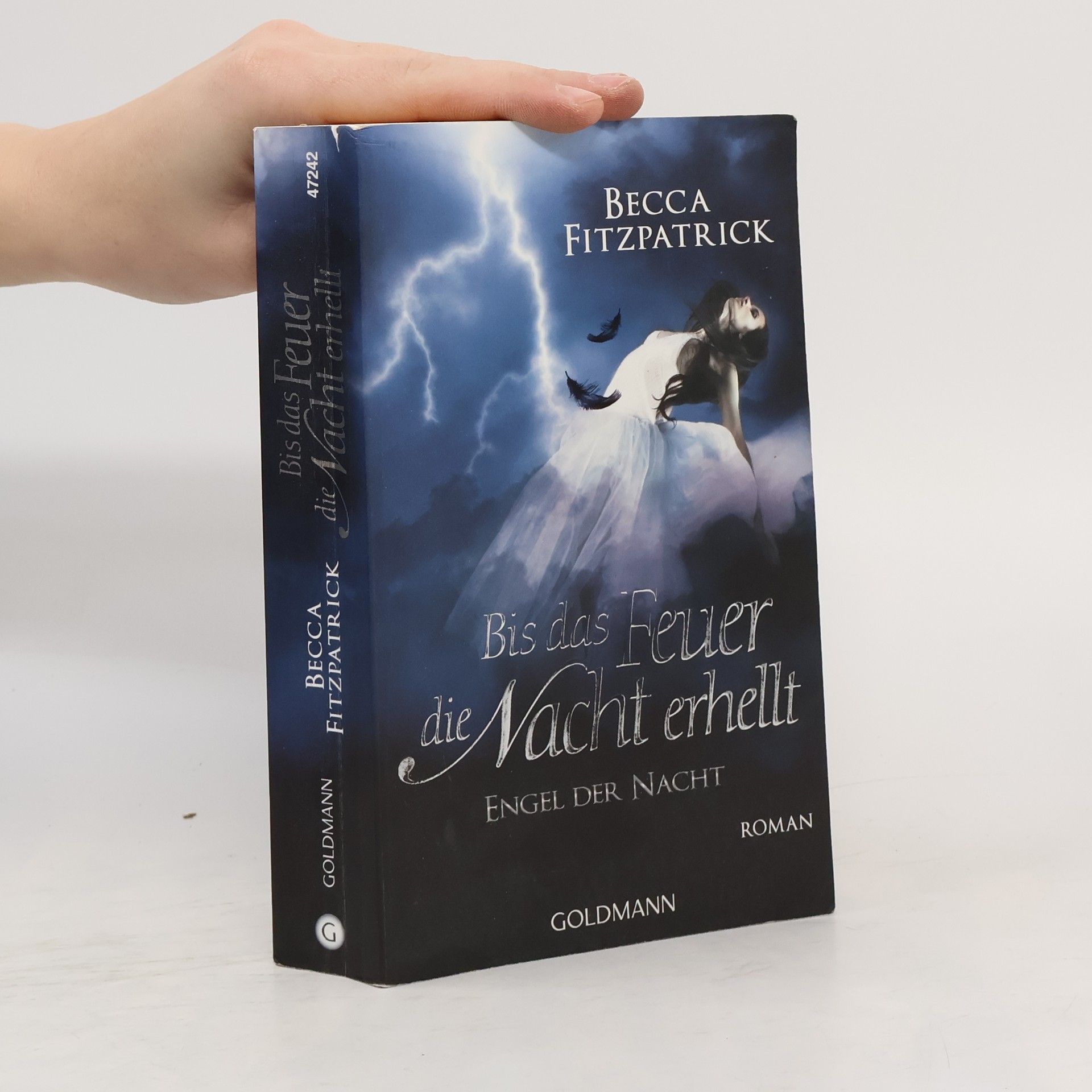 Bis das Feuer die Nacht erhellt - Engel der Nacht