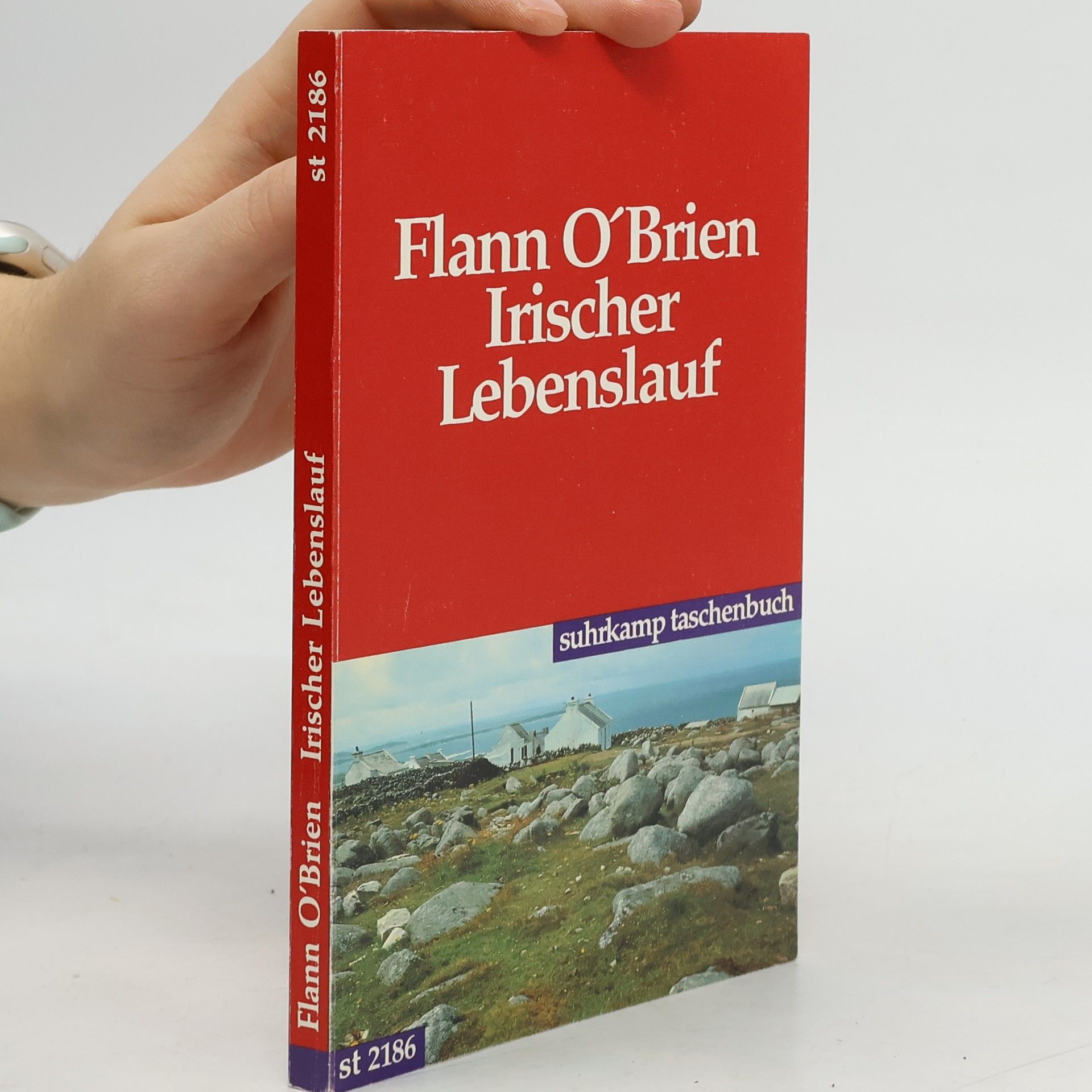 Flann O. Brien Irischer Lebenslauf. Eine arge Geschichte vom harten Leben. Hrsg. v. Myles na Gopaleen