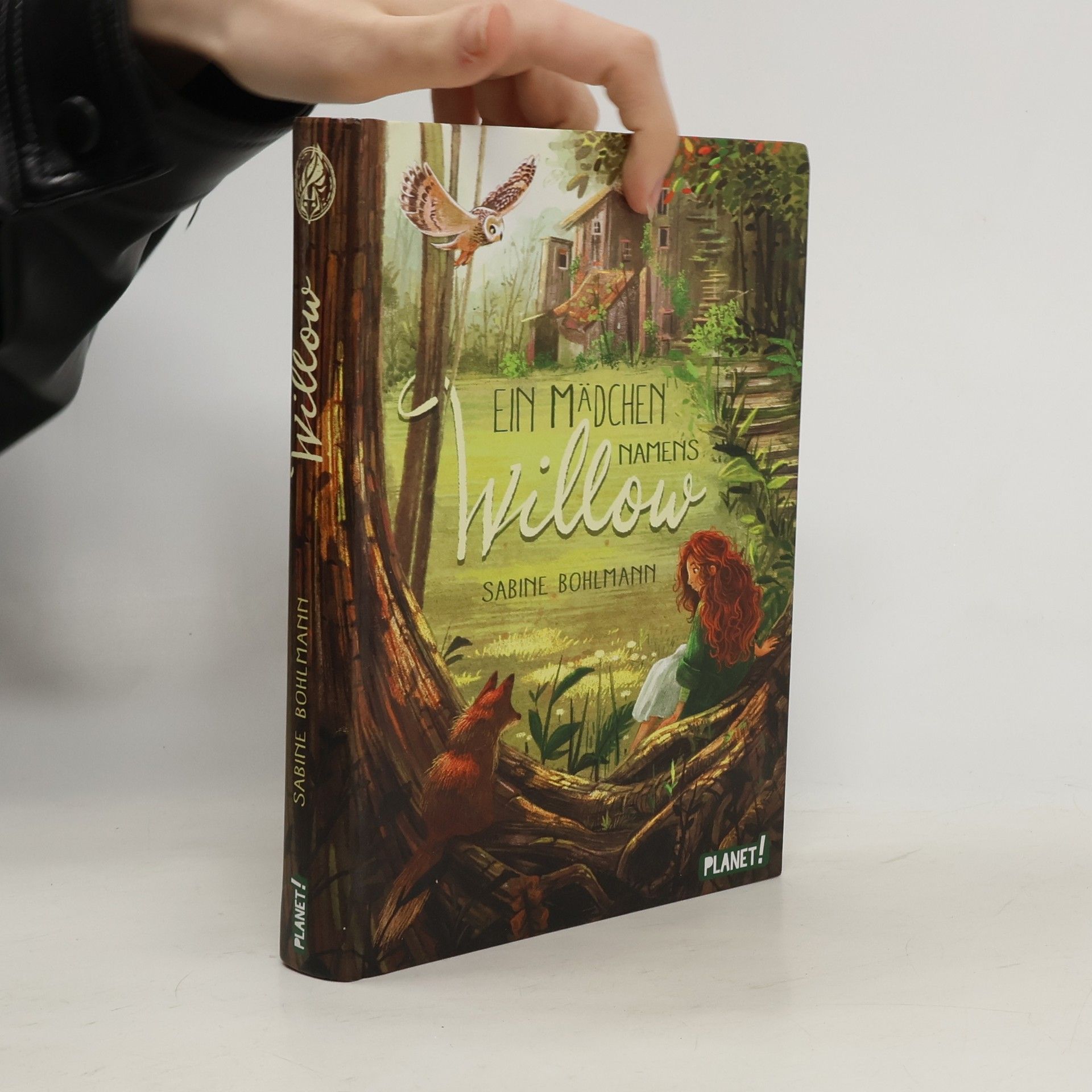 Sabine Bohlmann Ein Mädchen namens Willow