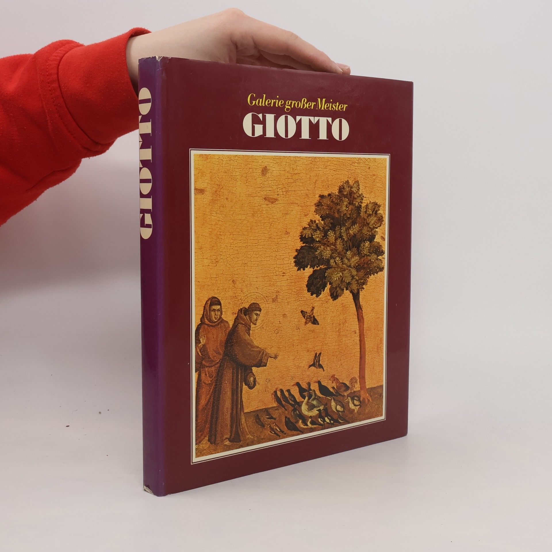 Autorenkollektiv Galerie grosser Meister Giotto