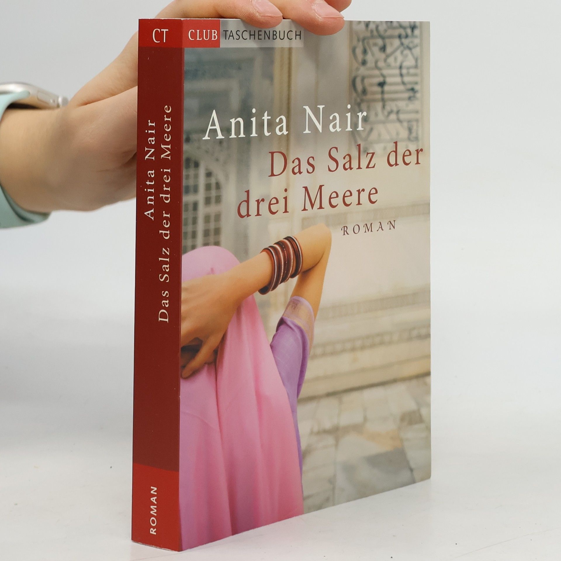 Anita Nair Das Salz der drei Meere