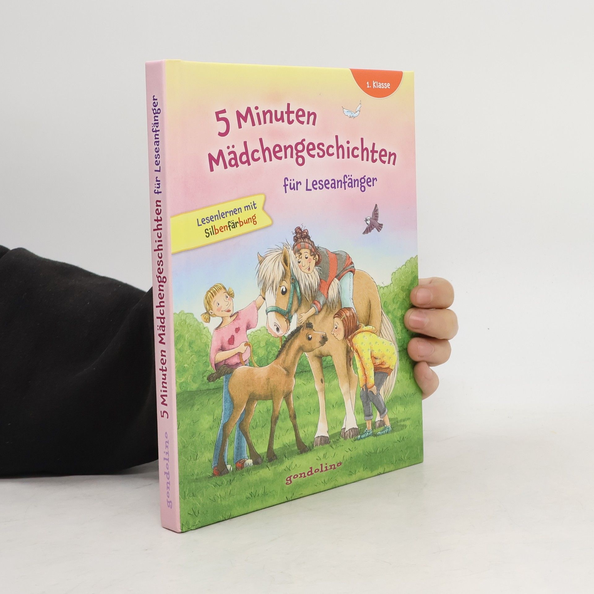 Autorenkollektiv 5 Minuten Mädchengeschichten für Leseanfänger