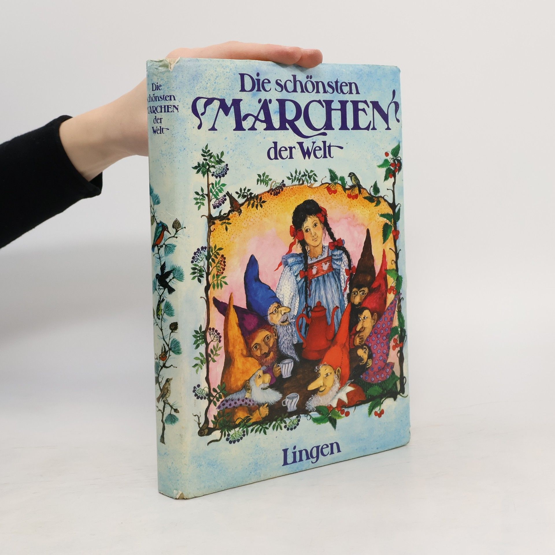 Autorenkollektiv Die schönsten Märchen der Welt