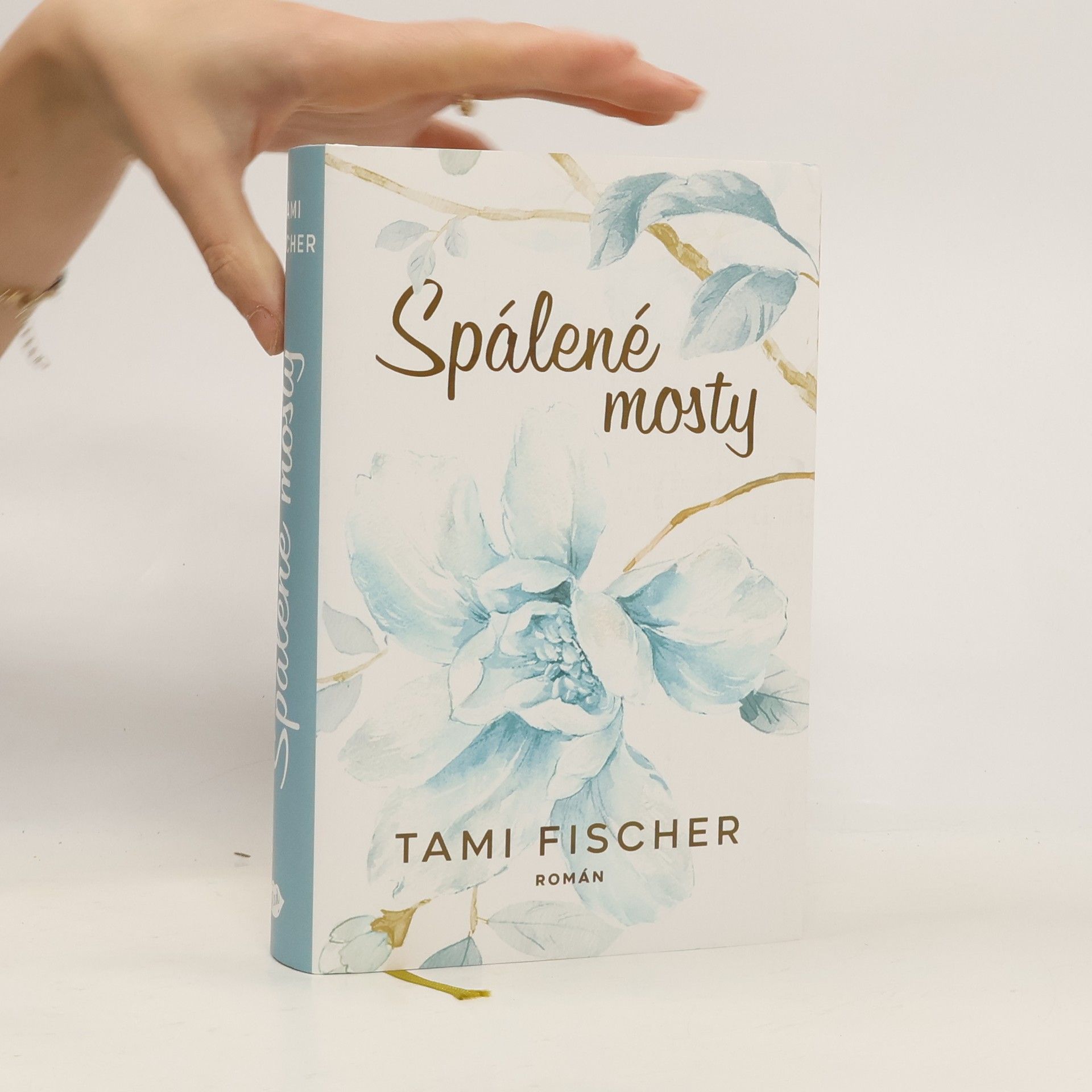 Tami Fischer Spálené mosty