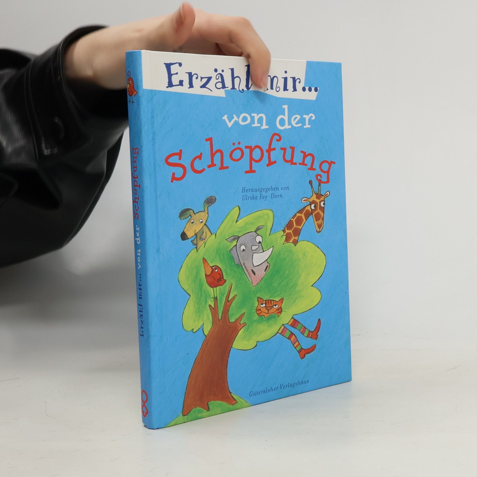 Ulrike Fey Dorn Erzähl mir von der Schöpfung