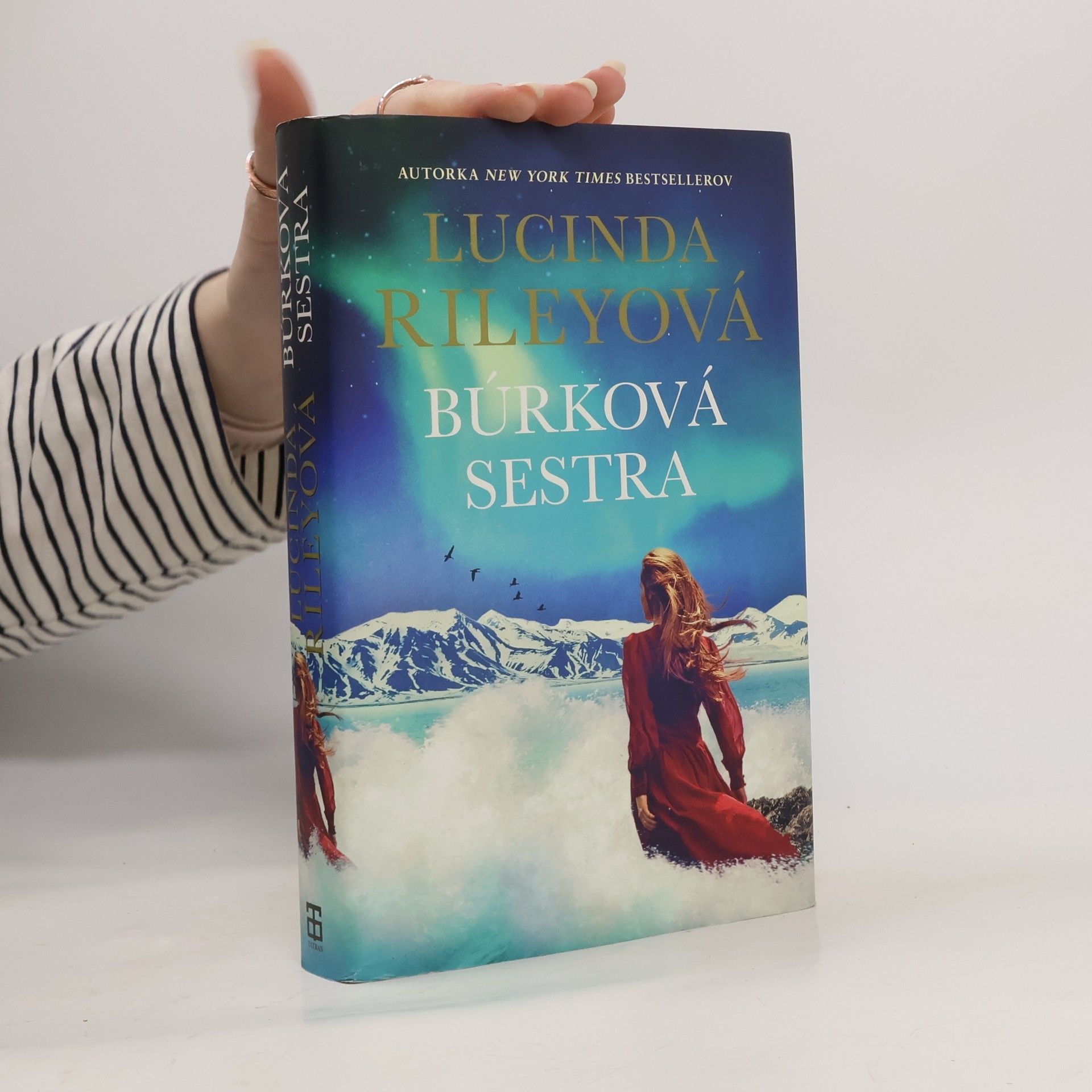 Lucinda Riley Búrková sestra