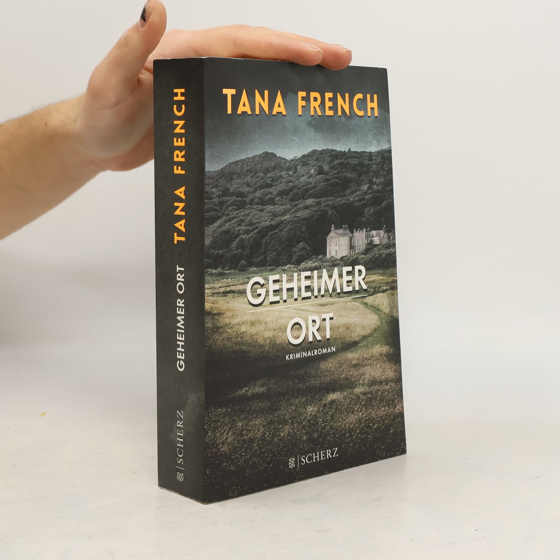 Tana French Geheimer Ort