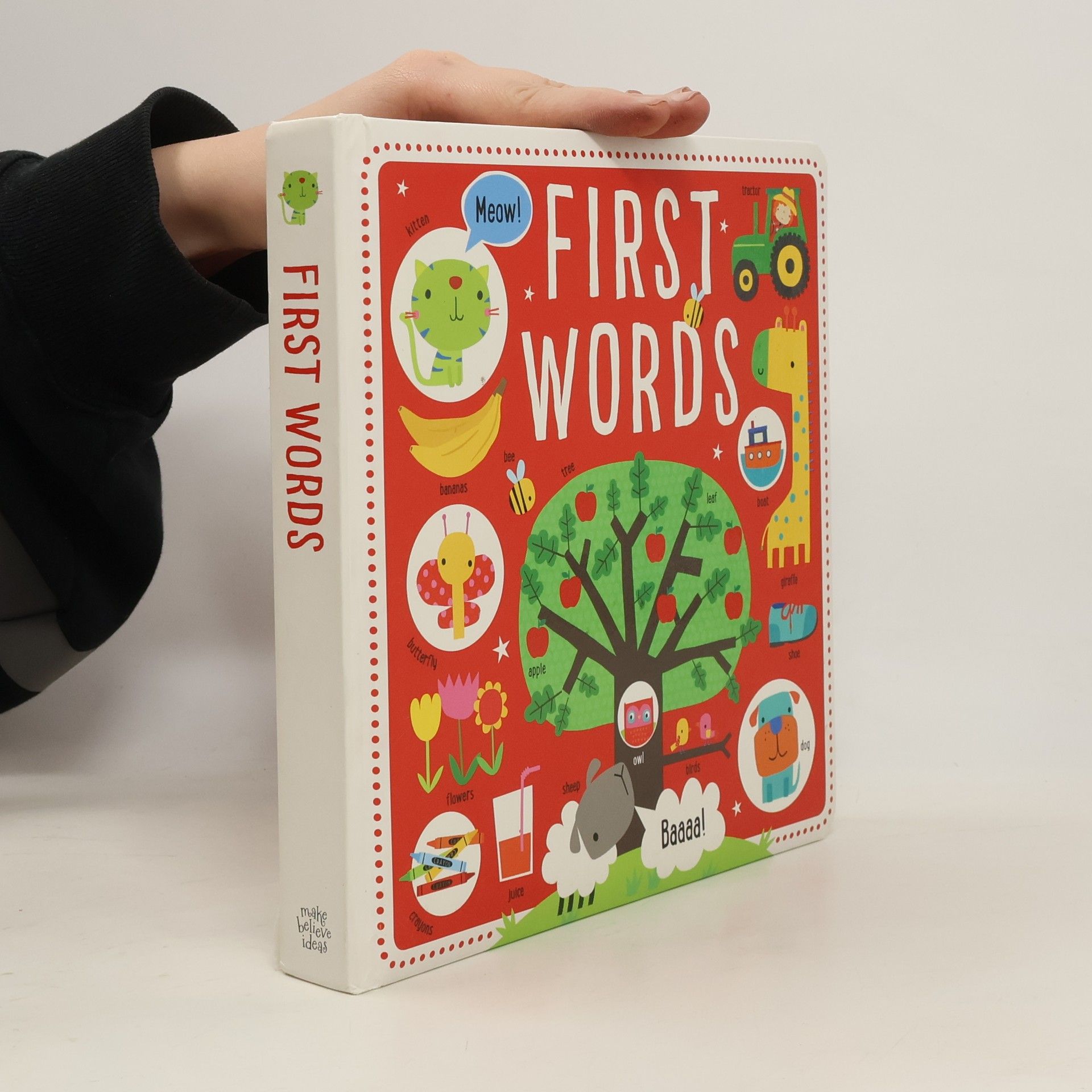 Kolektiv autorů First Words