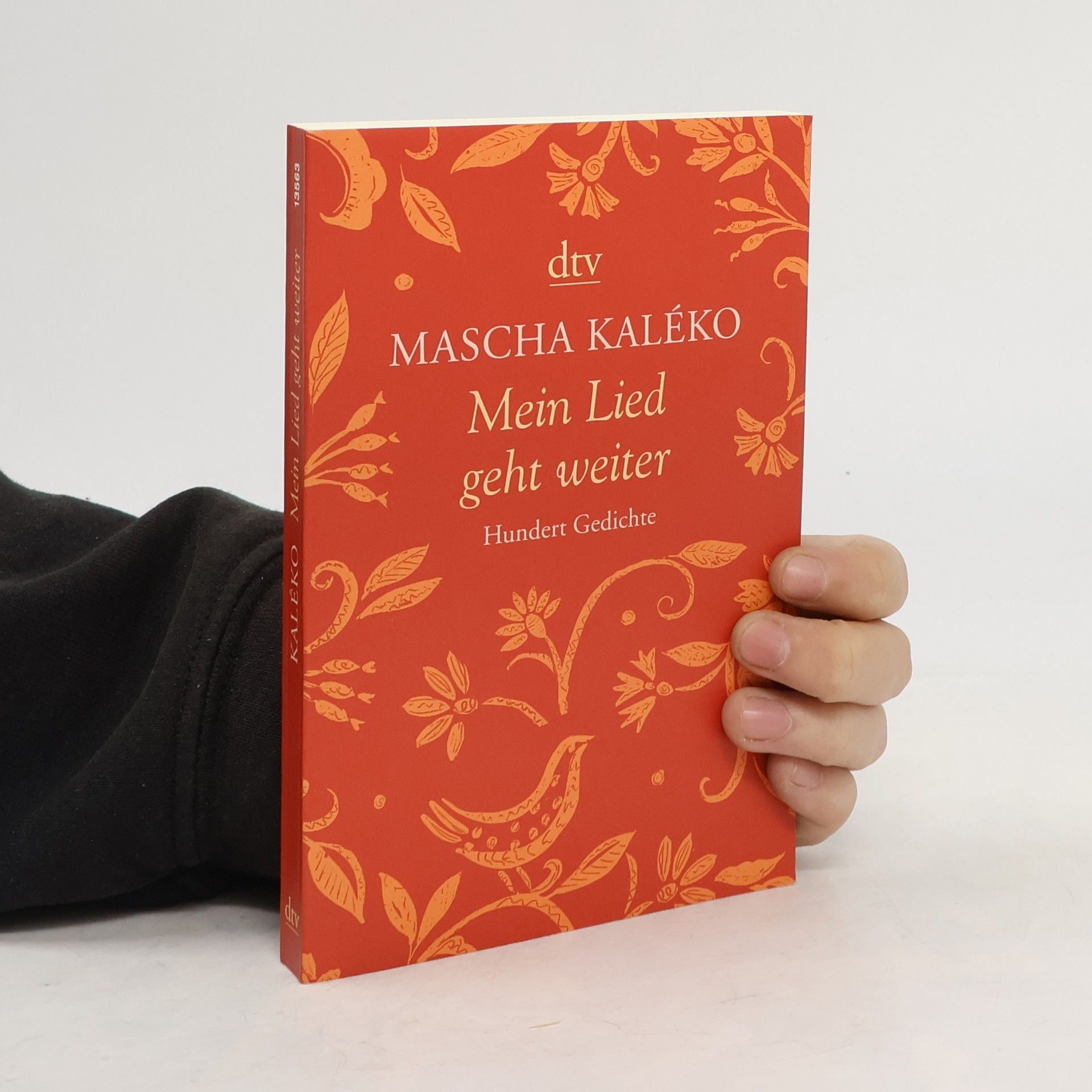 Mascha Kaléko Mein Lied geht weiter