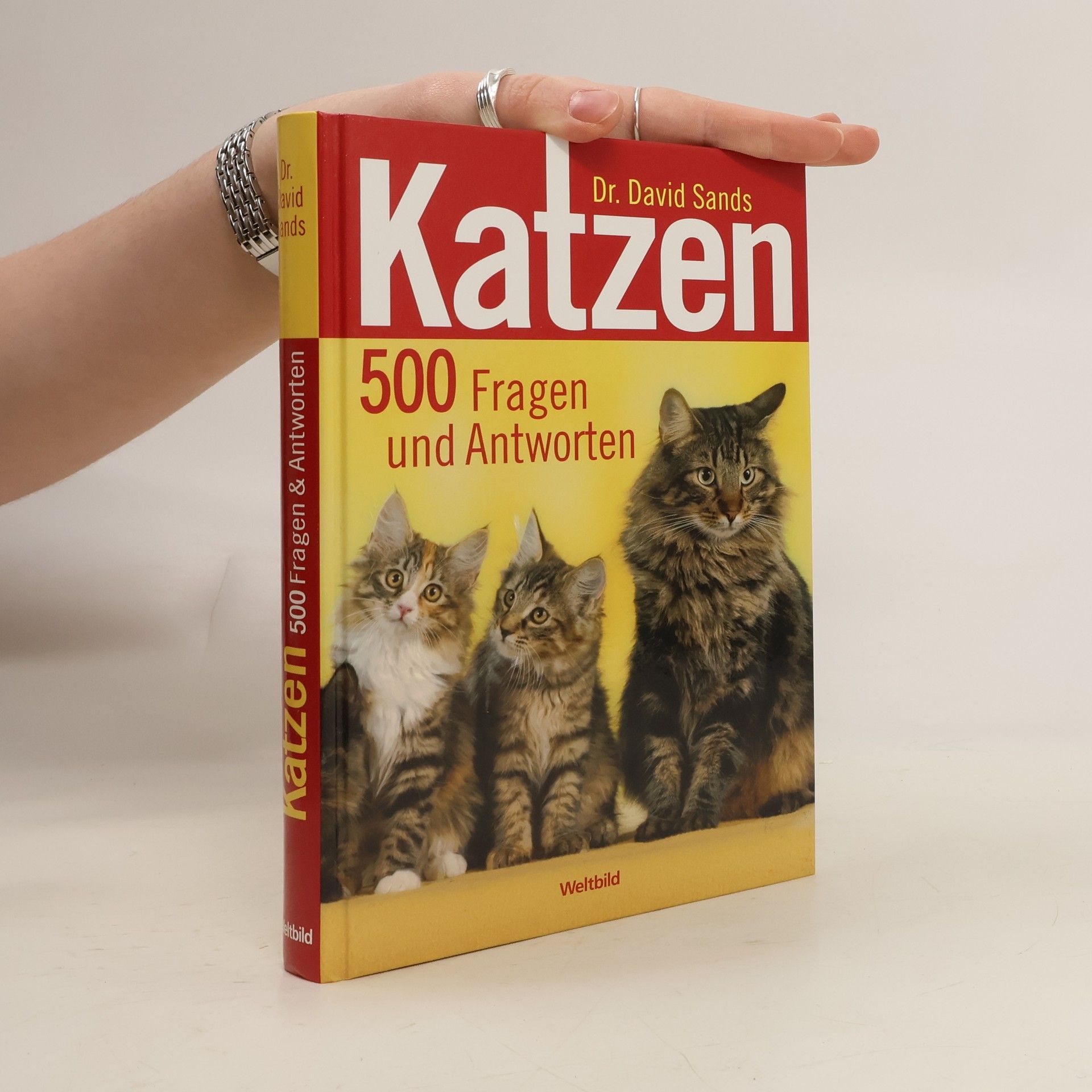 Katzen