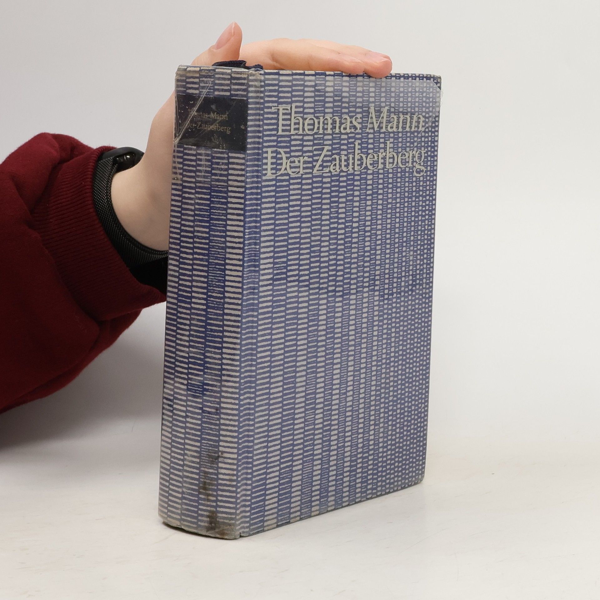 Thomas Mann Der Zauberberg