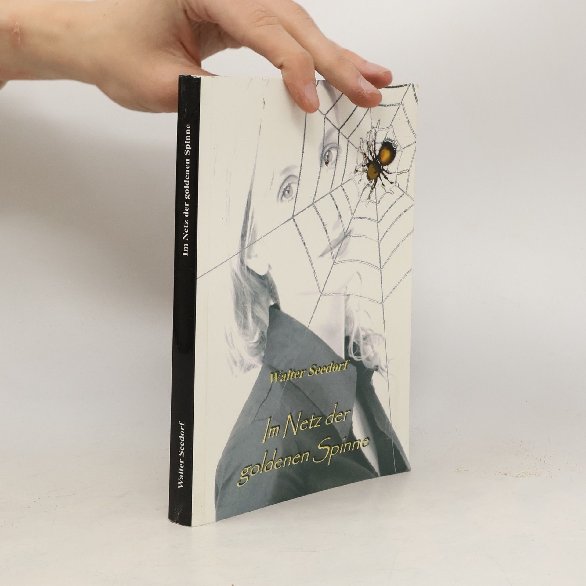 Im Netz der goldenen Spinne