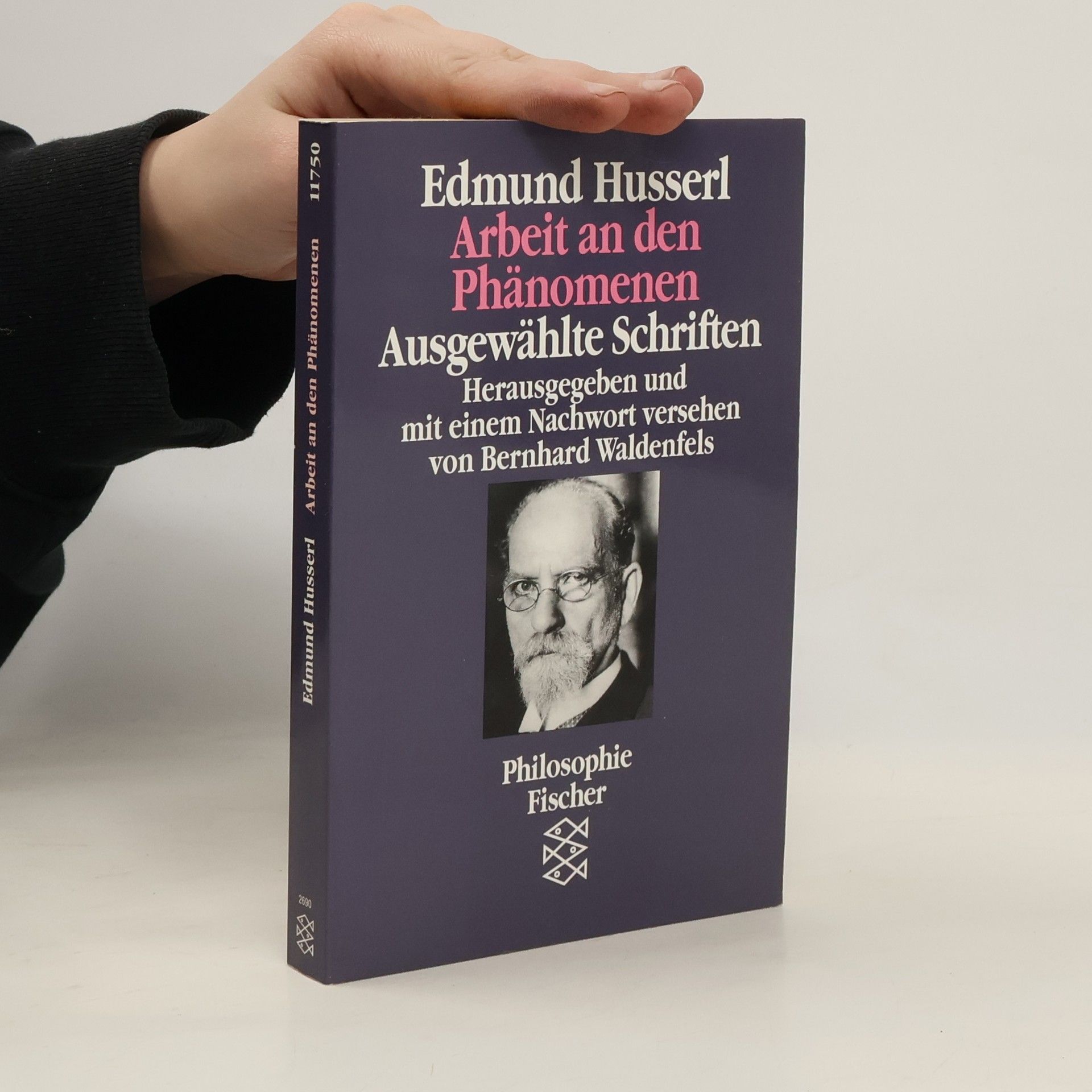 Edmund Husserl Arbeit an den Phänomenen