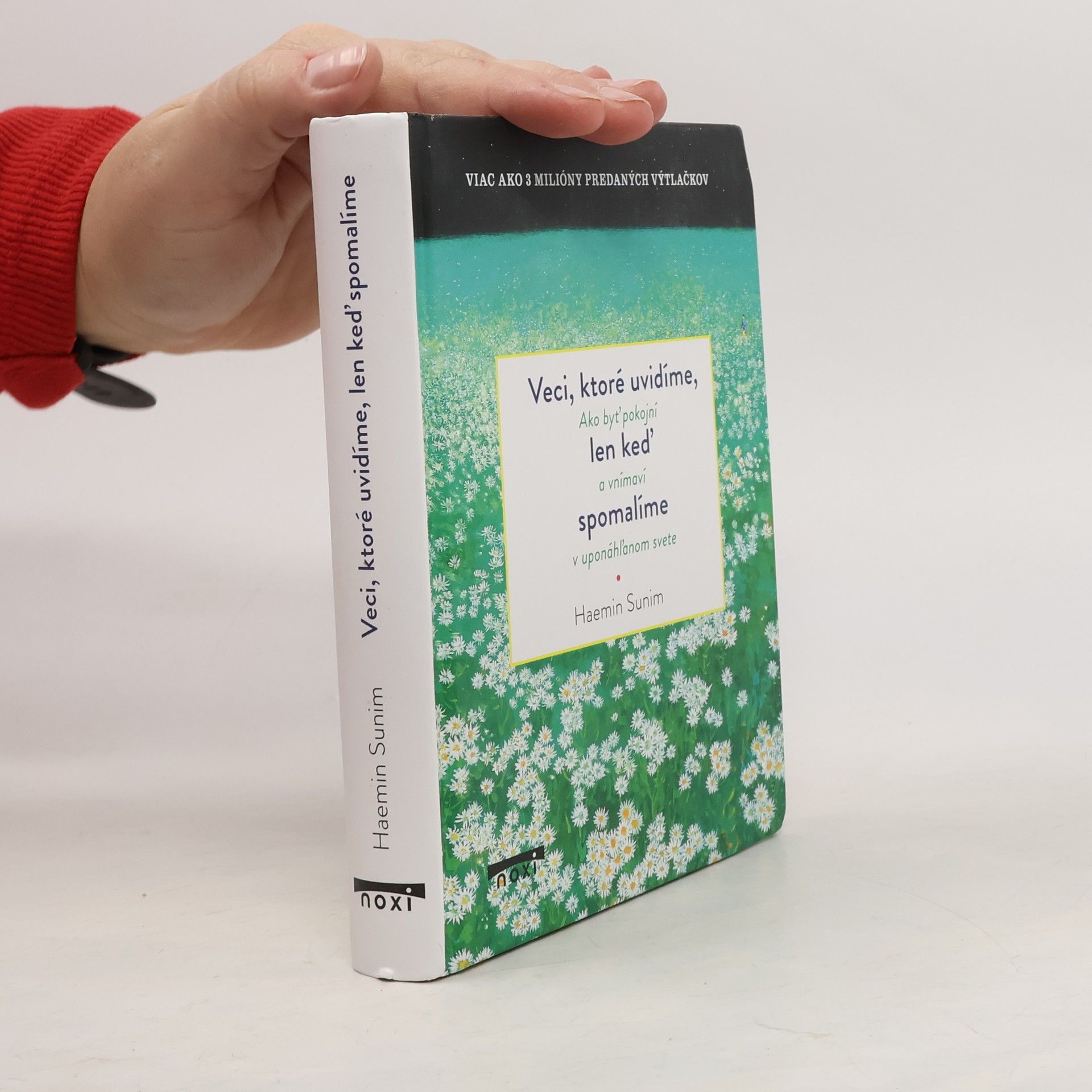 Sunim Haemin Veci, ktoré uvidíme, len keď spomalíme