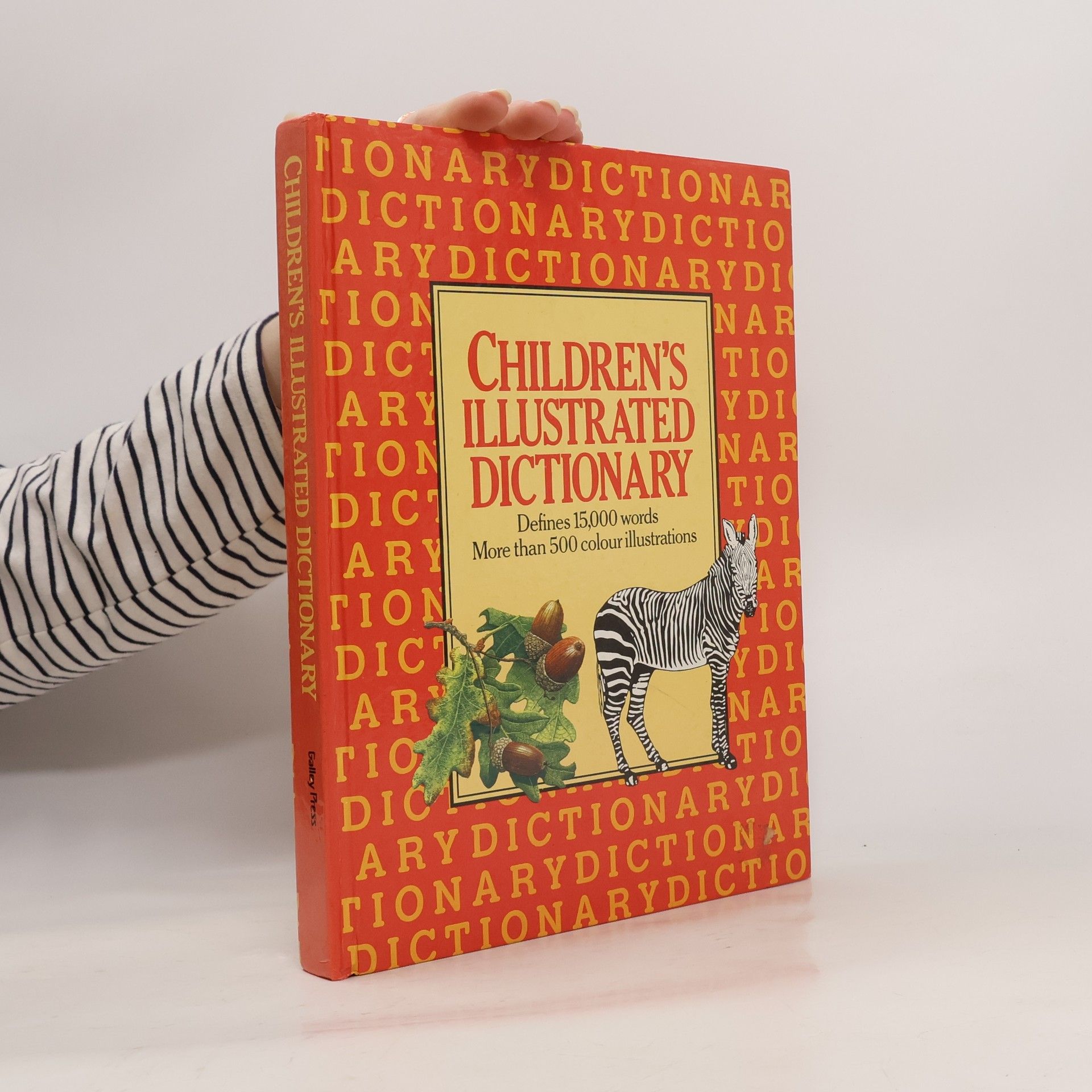 Autorenkollektiv Children's Illustrated Dictionary
