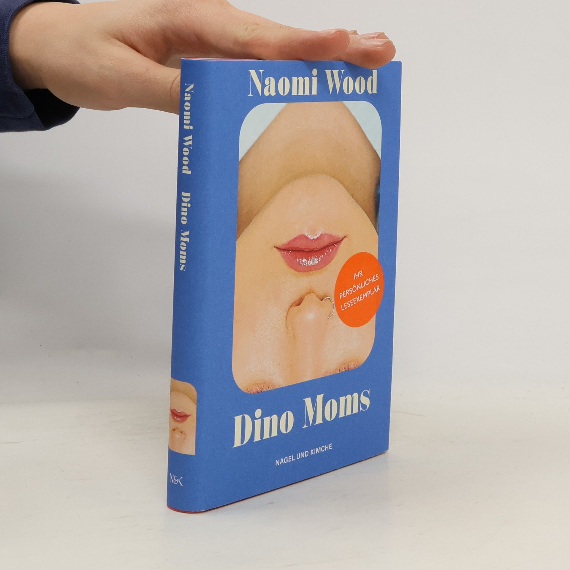 Naomi Wood Dino Moms. Erzählungen | Gewinnerin BBC Short Story Award 2023 | preisgekröntes Debüt I »Eine wunderbare Autorin« Matt Haig | scharfsinnig über Elternschaft und moderne Liebe