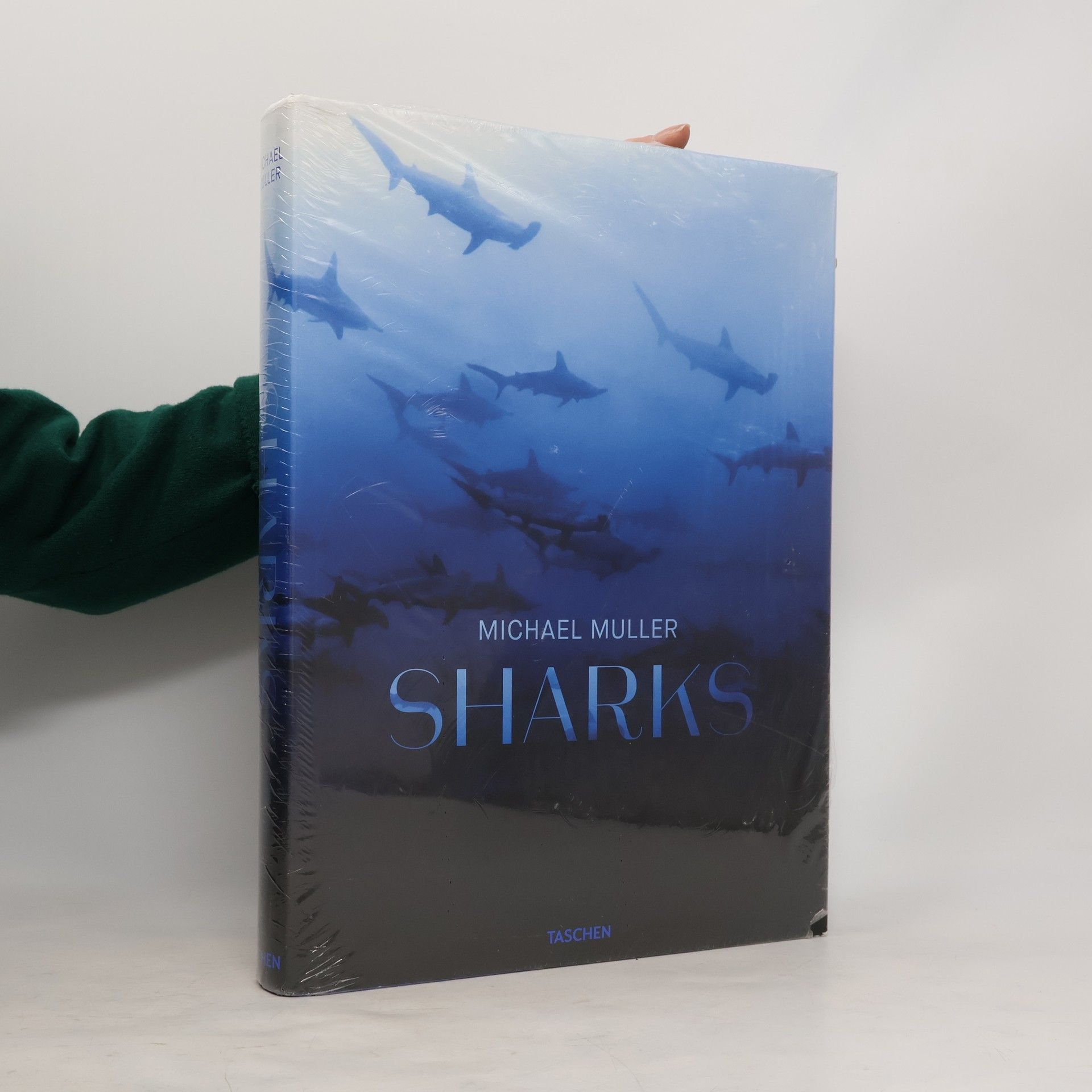 Michael Müller Sharks