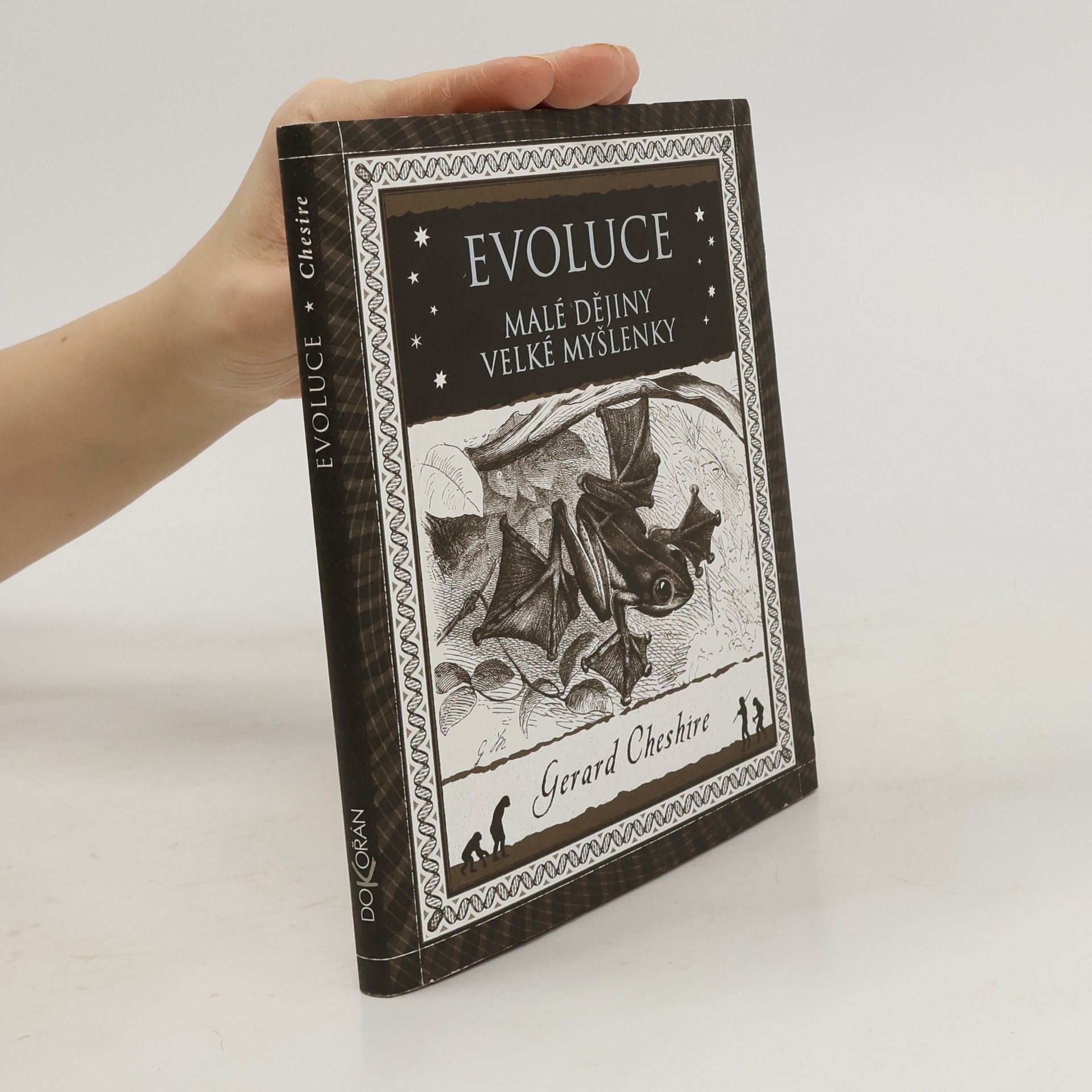 Gerard Cheshire Evoluce