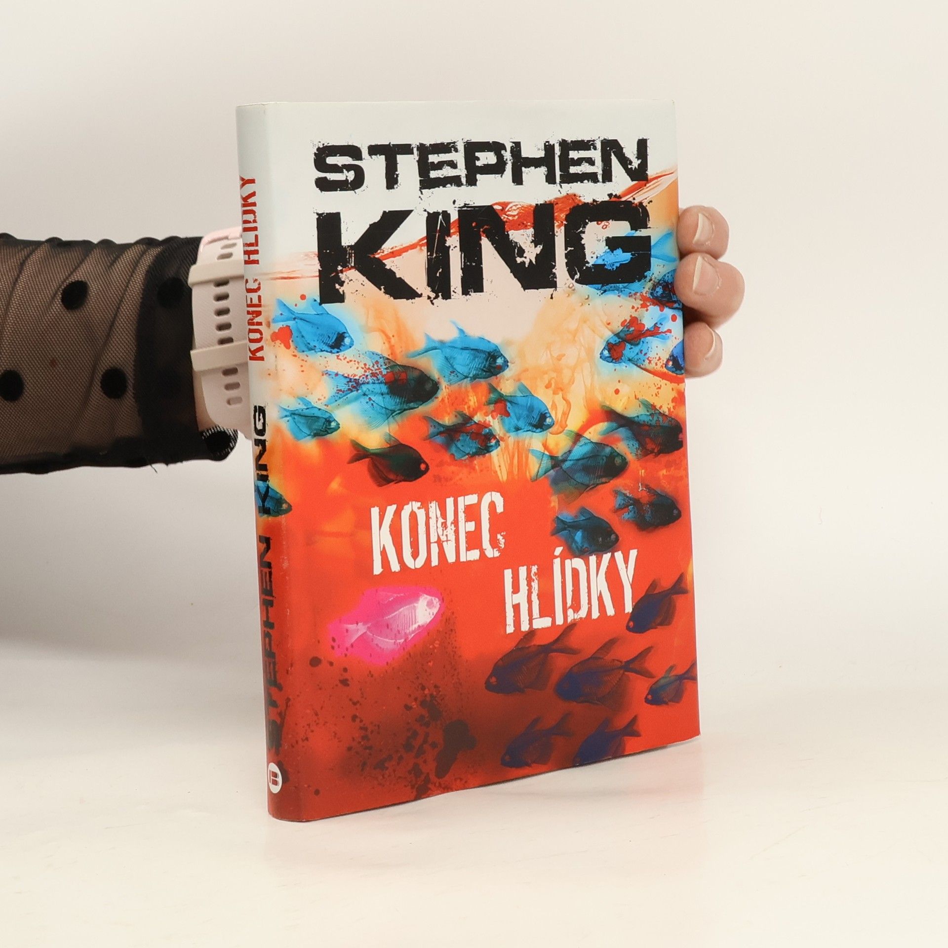 Stephen King Konec hlídky