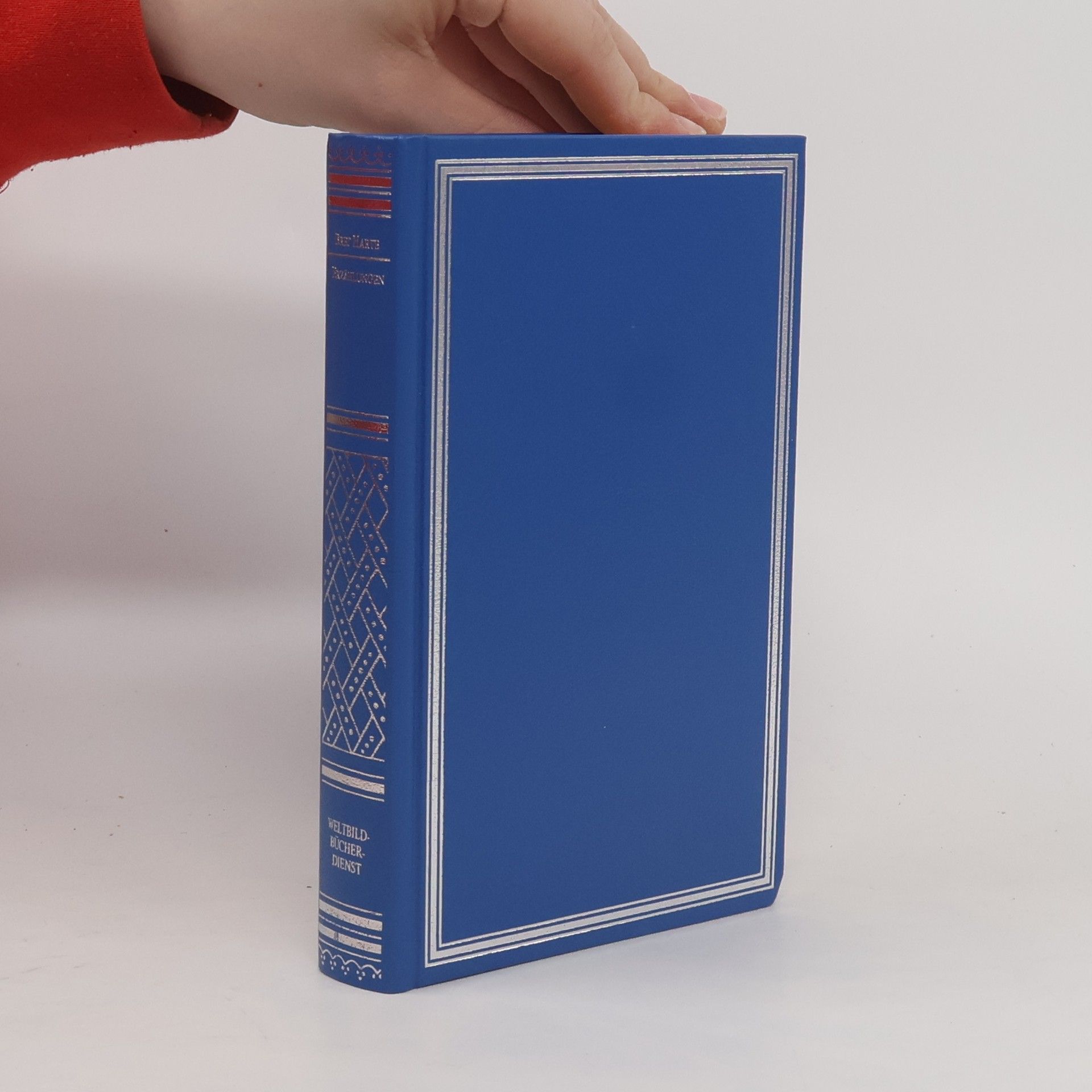 Bret Harte Erzählungen