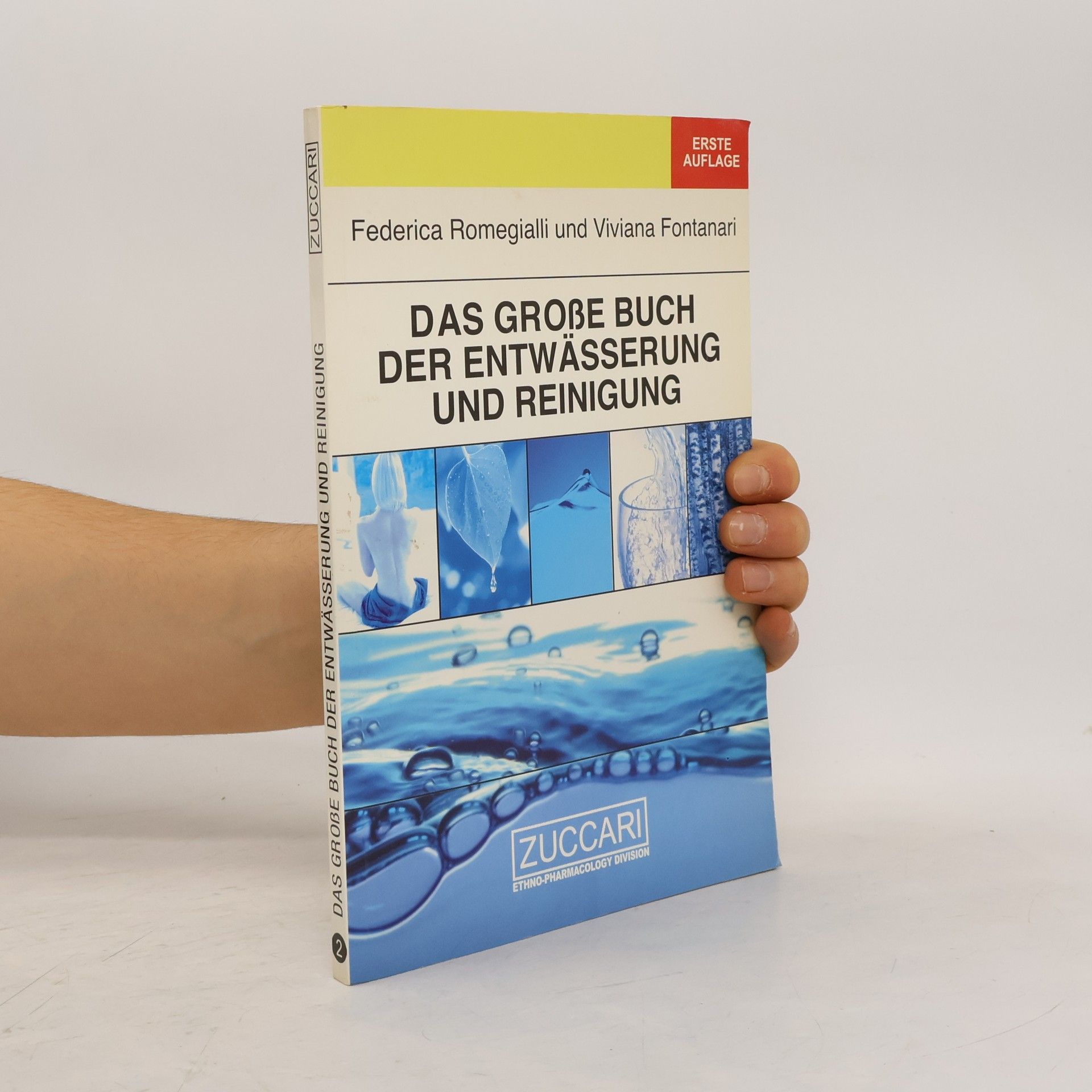 Federica Romegialli Das große Buch der Entwässerung und Reinigung
