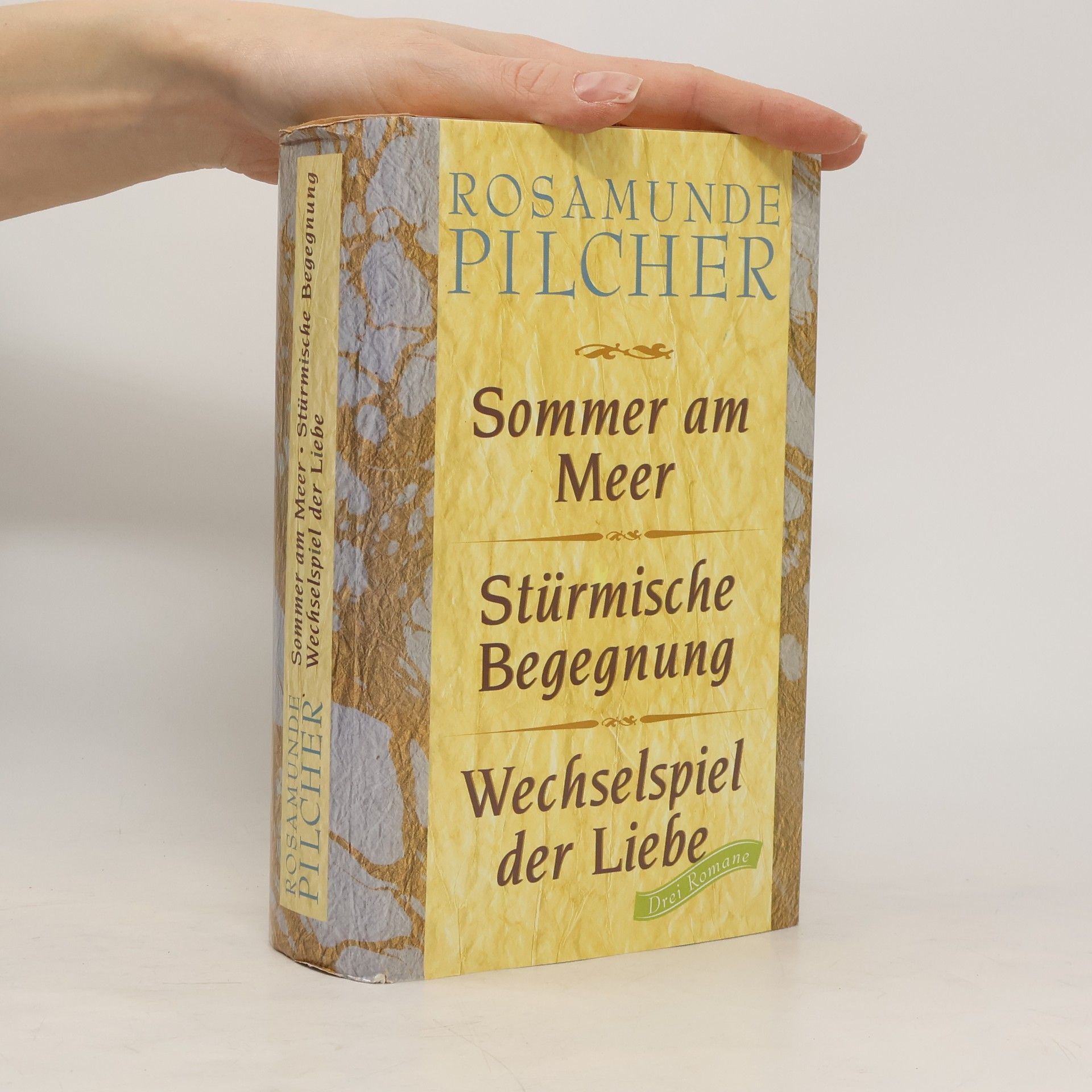 Rosamunde Pilcher Sommer am Meer. Stürmische Begegnung. Wechselspiel der Liebe