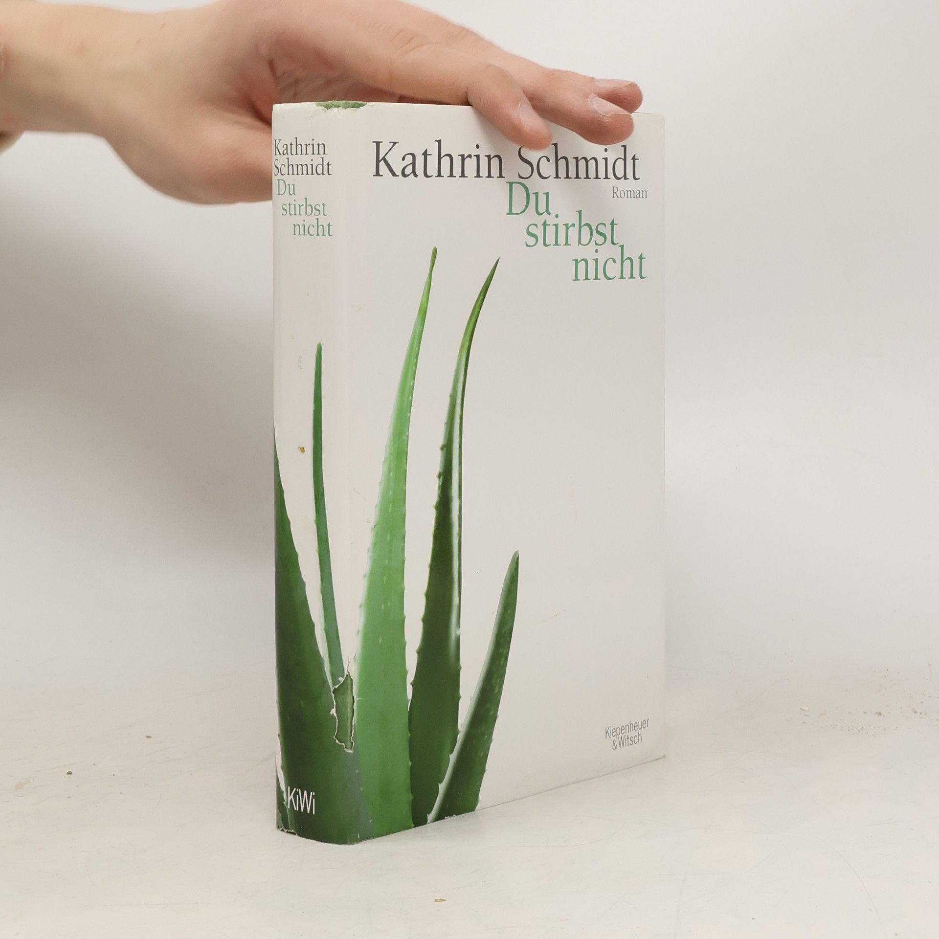 Kathrin Schmidt Du stirbst nicht