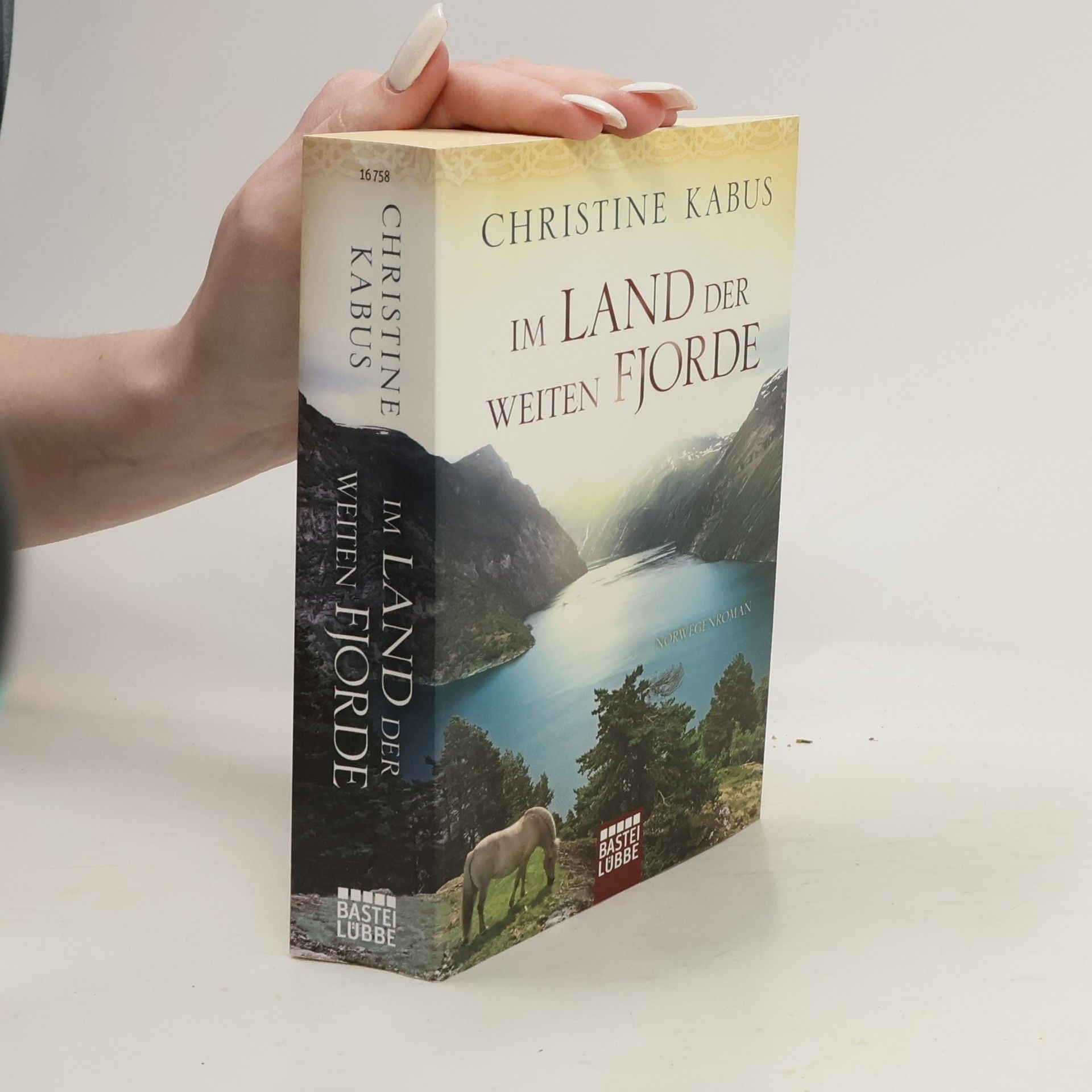 Christine Kabus Im Land der weiten Fjorde