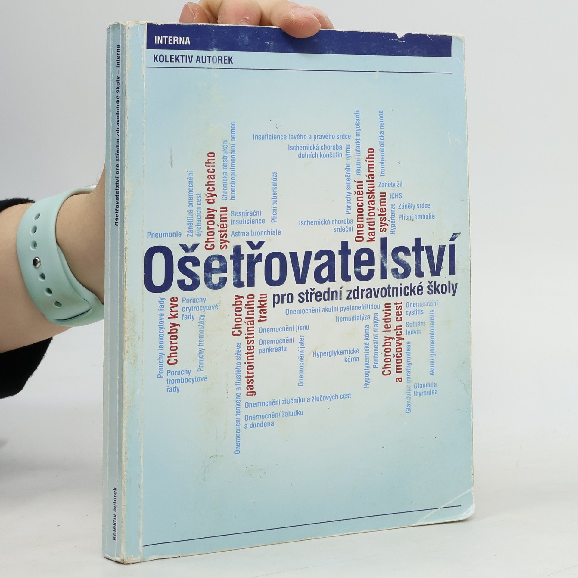 Kolektív autorov Ošetřovatelské diagnózy