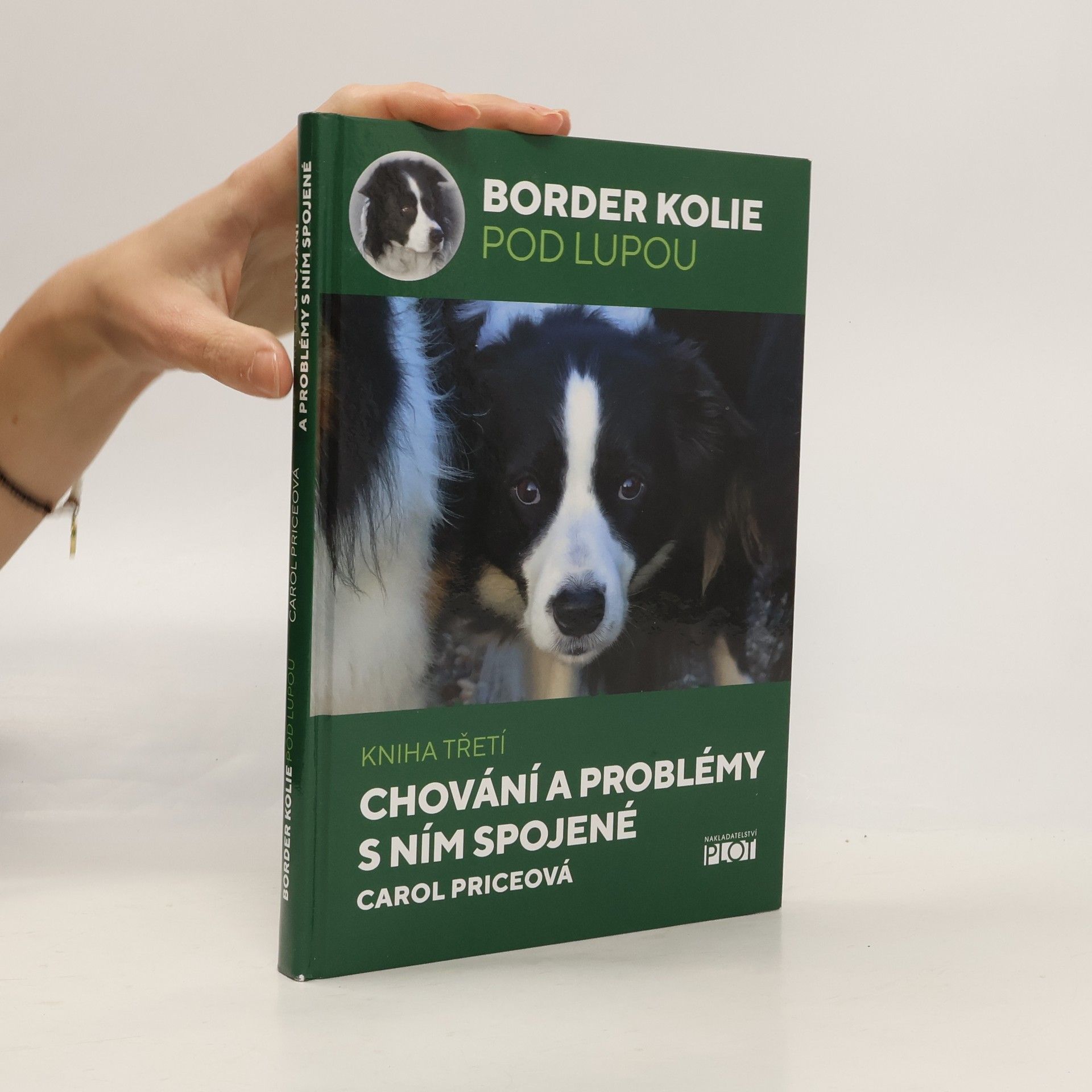 Carol Price Chování a problémy s ním spojené