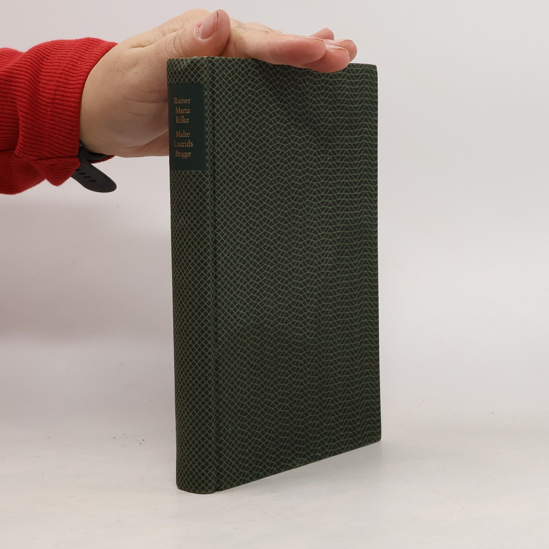 Die Aufzeichnungen des Malte Laurids Brigge