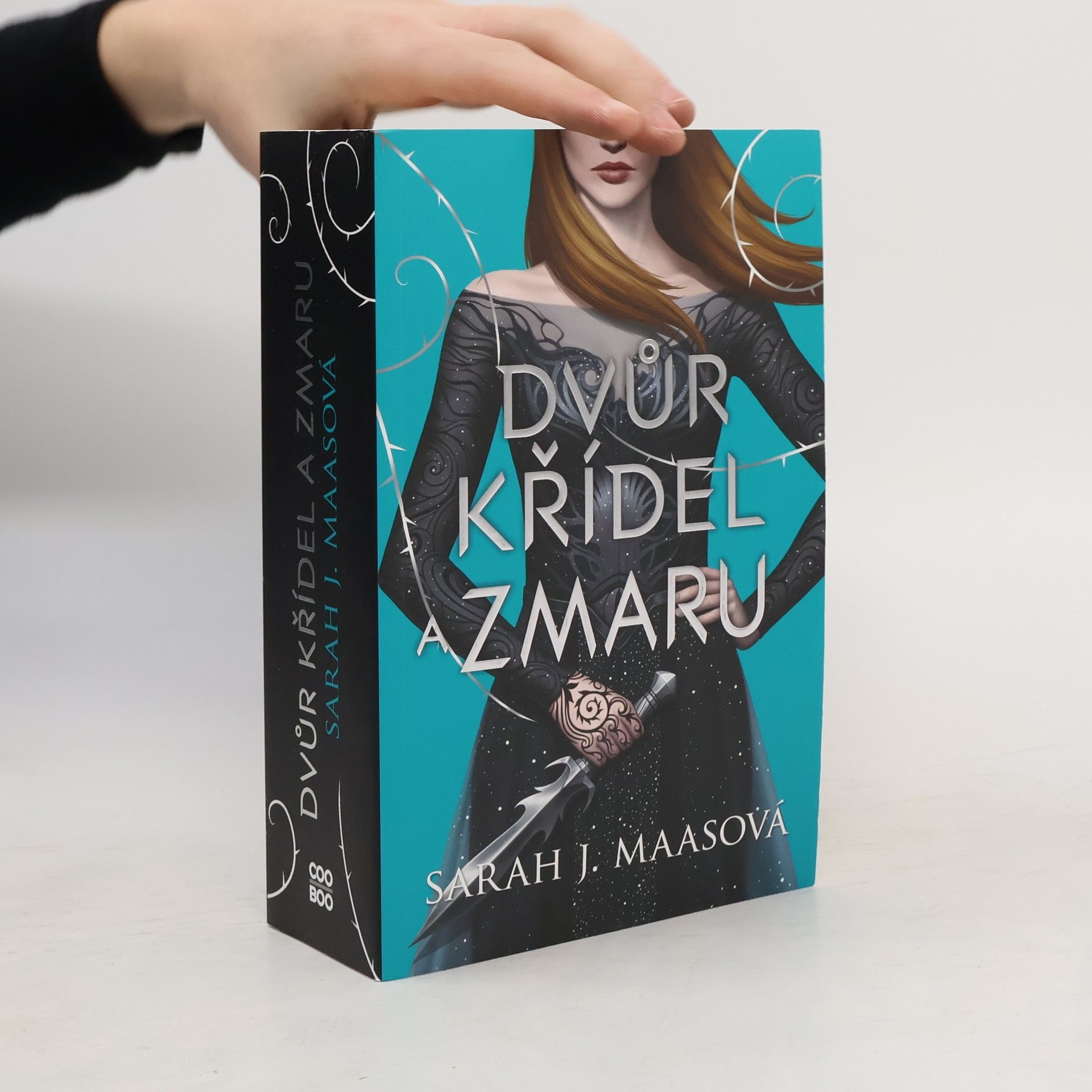 Sarah J. Maas Dvůr křídel a zmaru