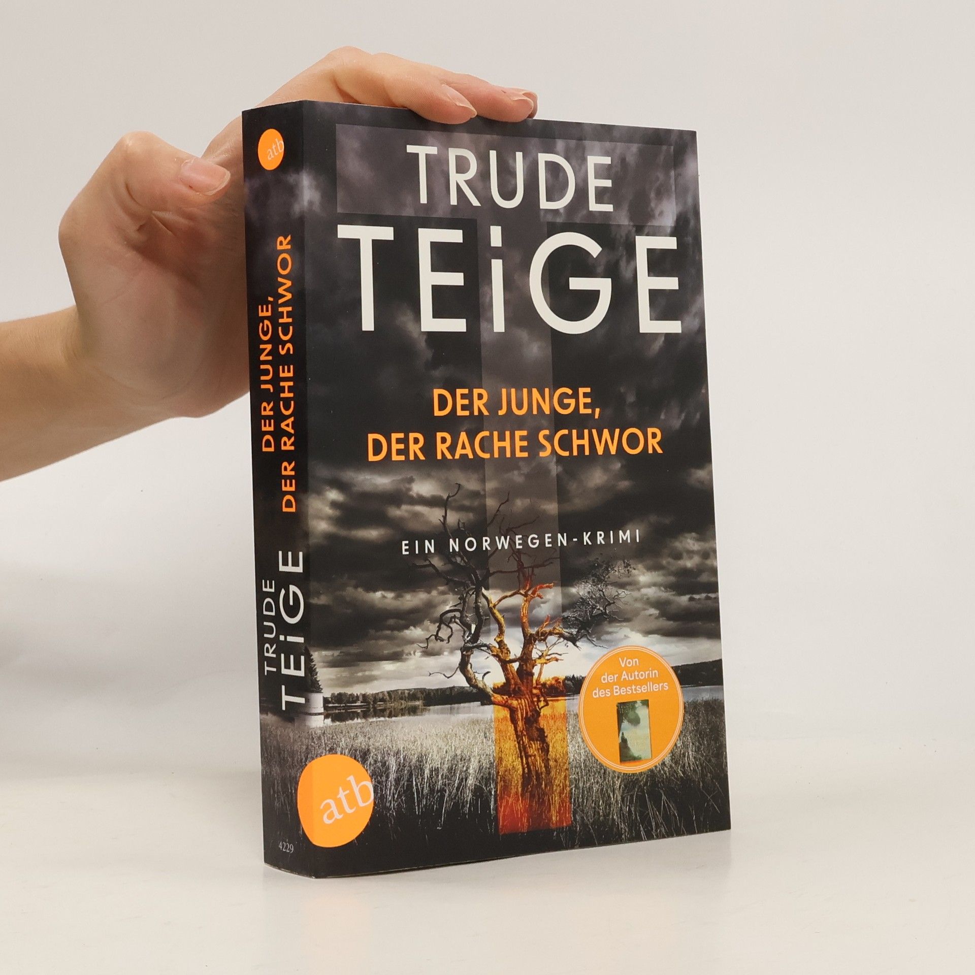 Trude Teige Der Junge, der Rache schwor