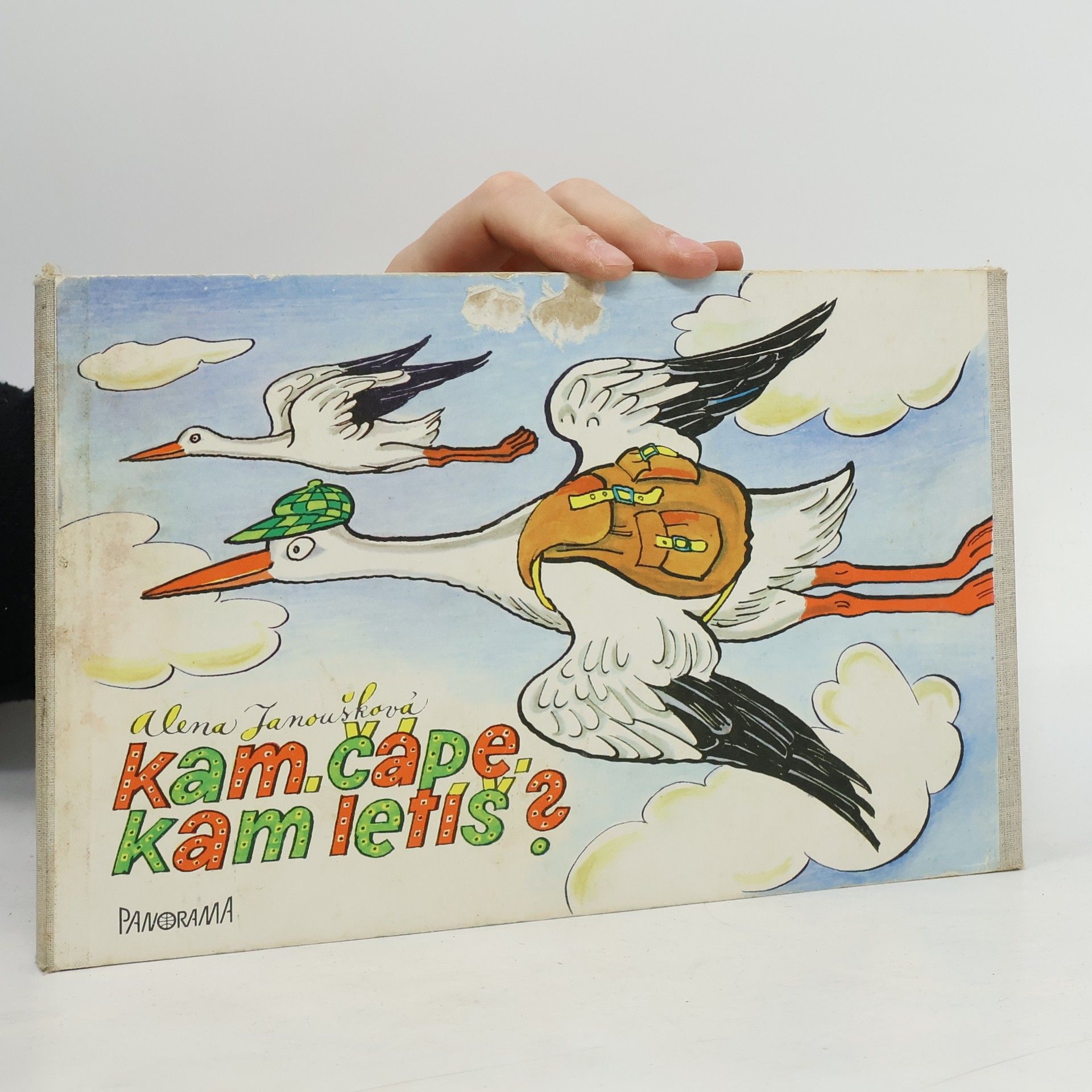 Alena Janoušková Kam, čápe, kam letíš?