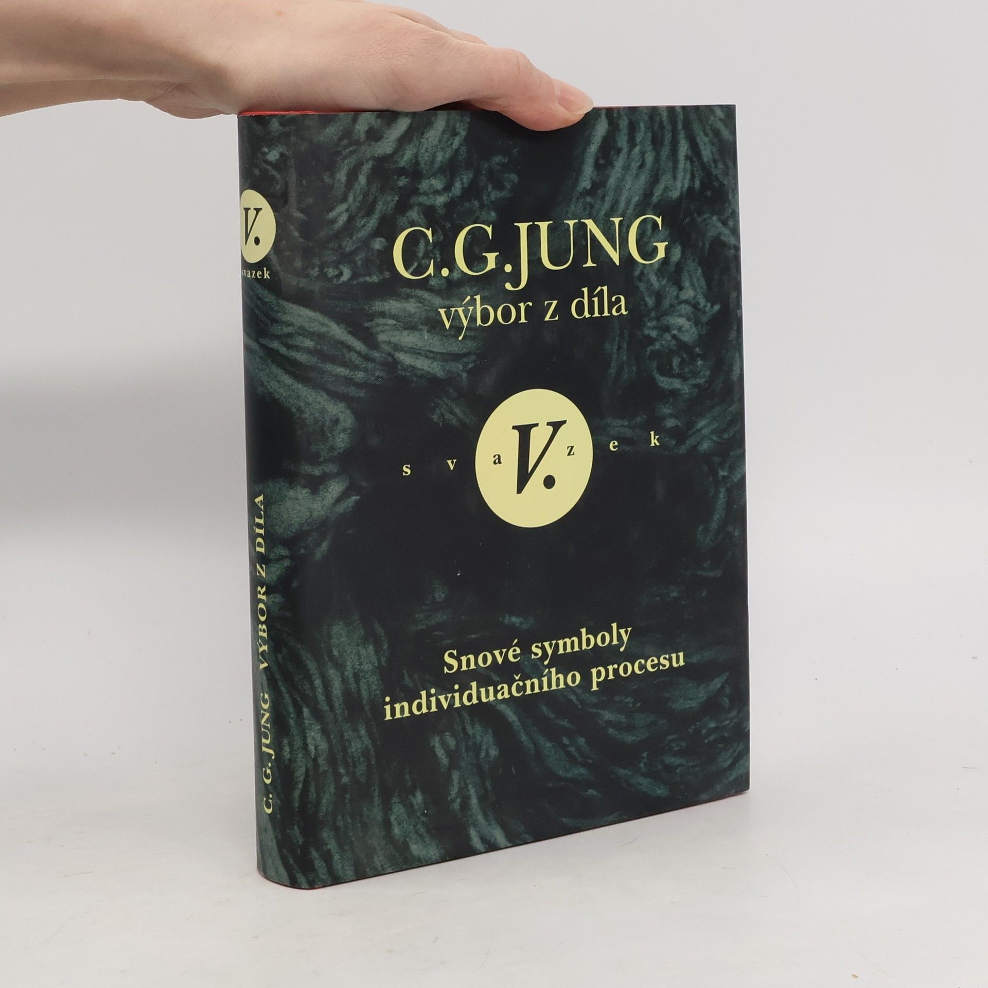 Carl Gustav Jung Výbor z díla V.