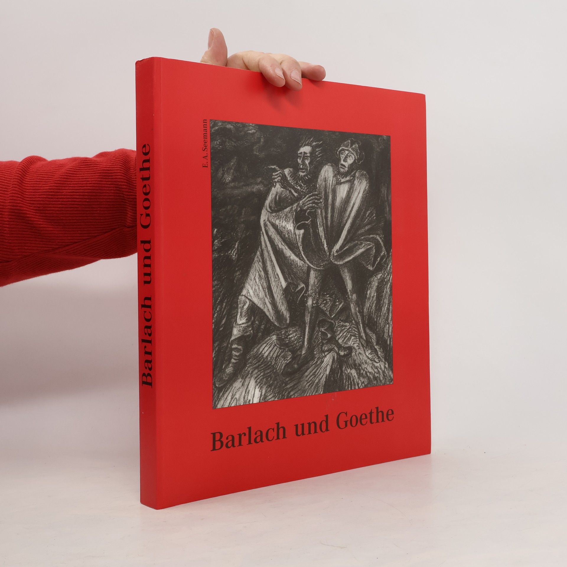 Kolektiv autorů Barlach und Goethe