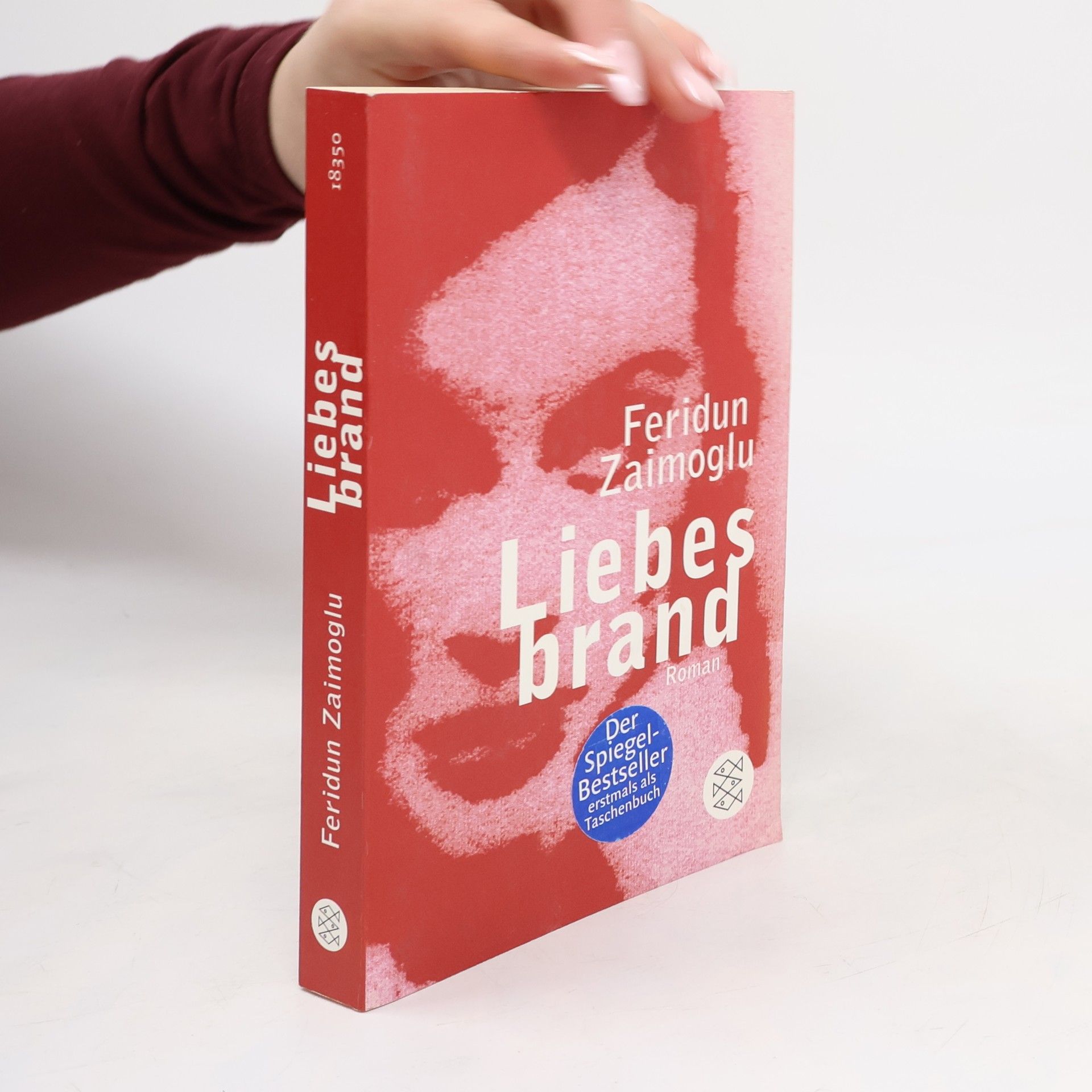 Feridun Zaimoğlu Liebesbrand