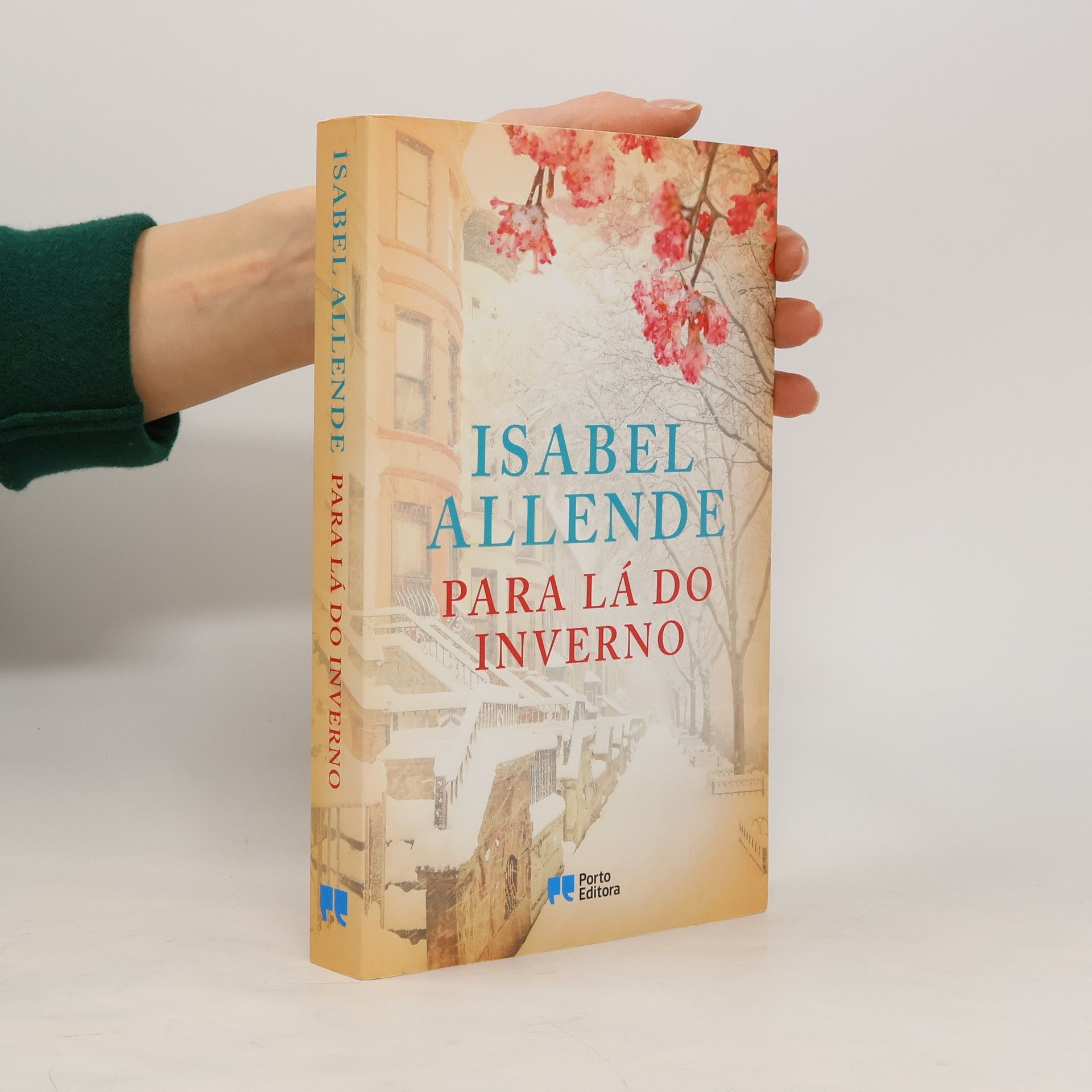 Isabel Allende Para Lá do Inverno