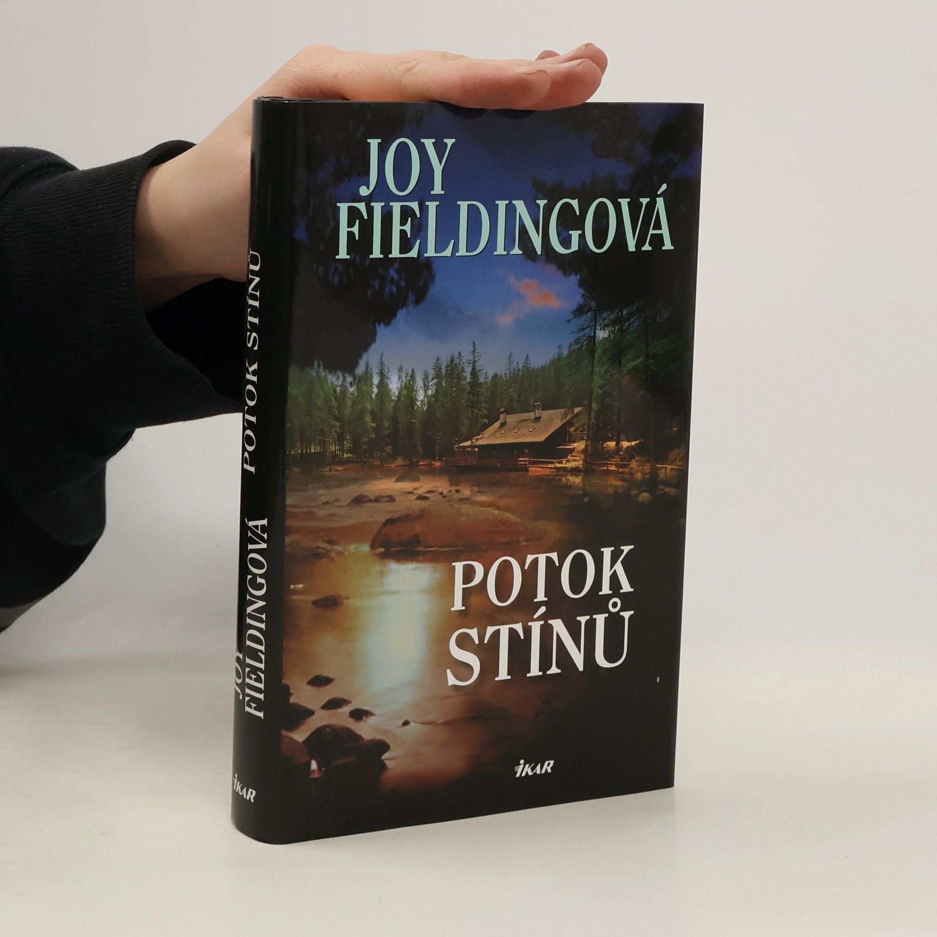 Joy Fielding Potok stínů