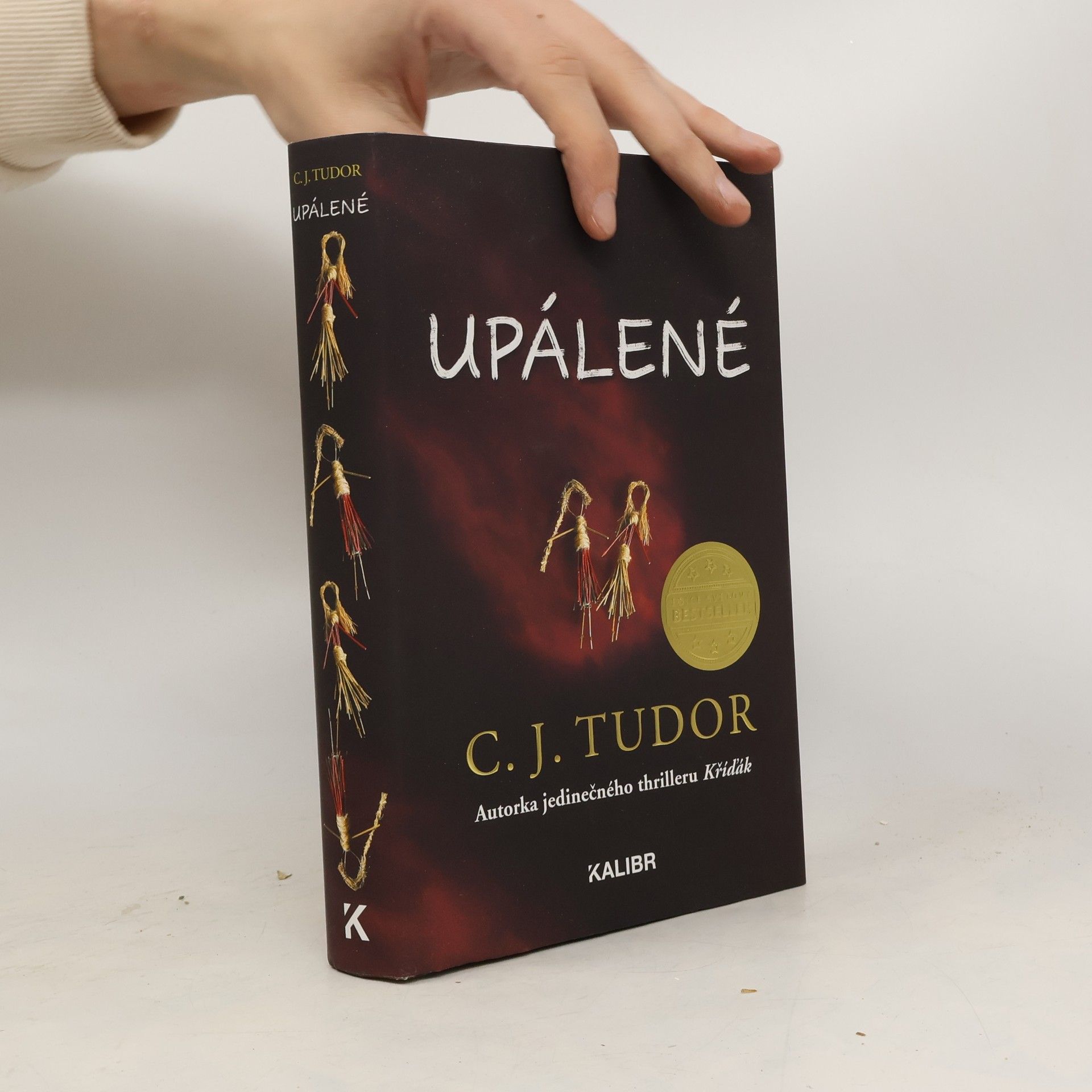 C. J. Tudor Upálené