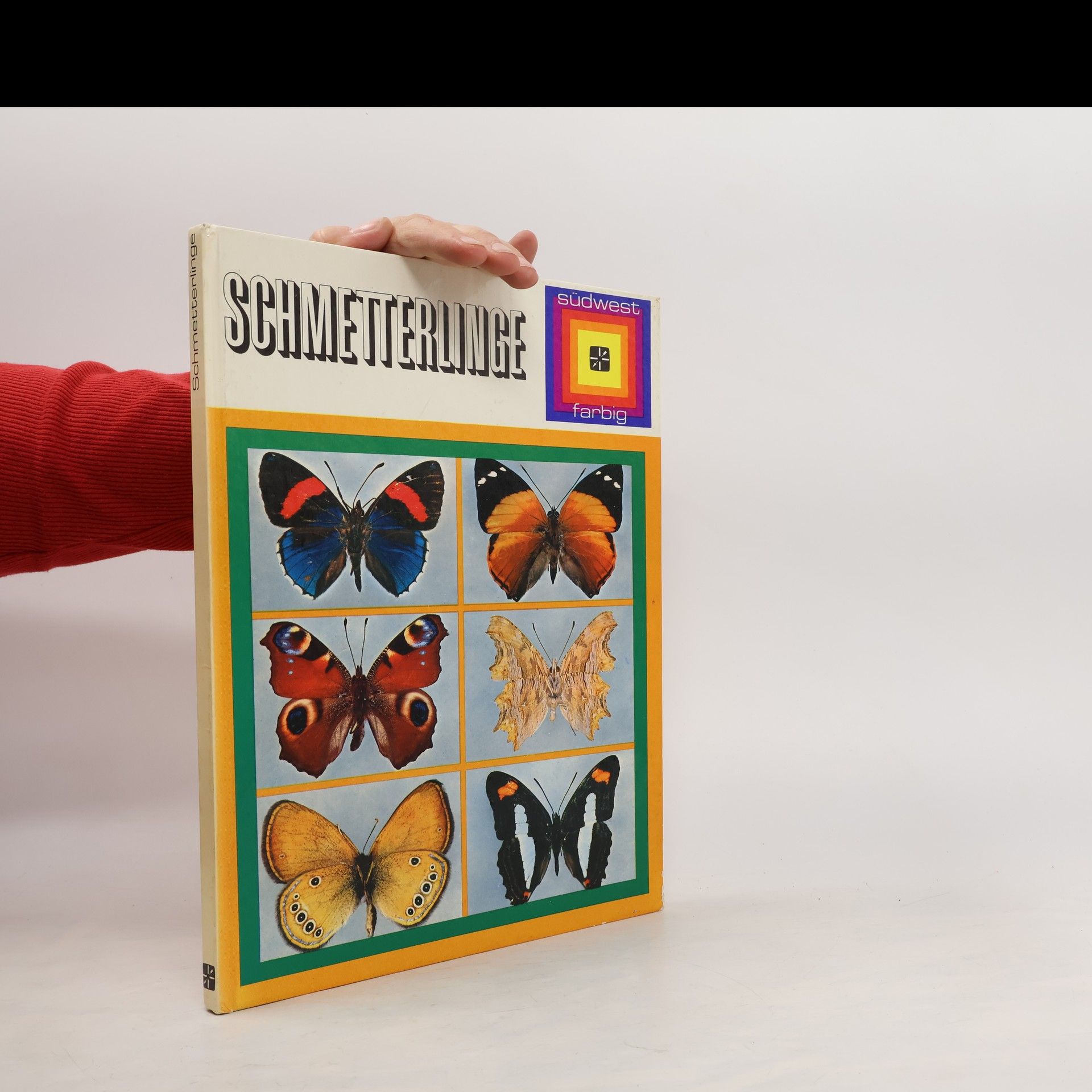 Autorenkollektiv Schmetterlinge