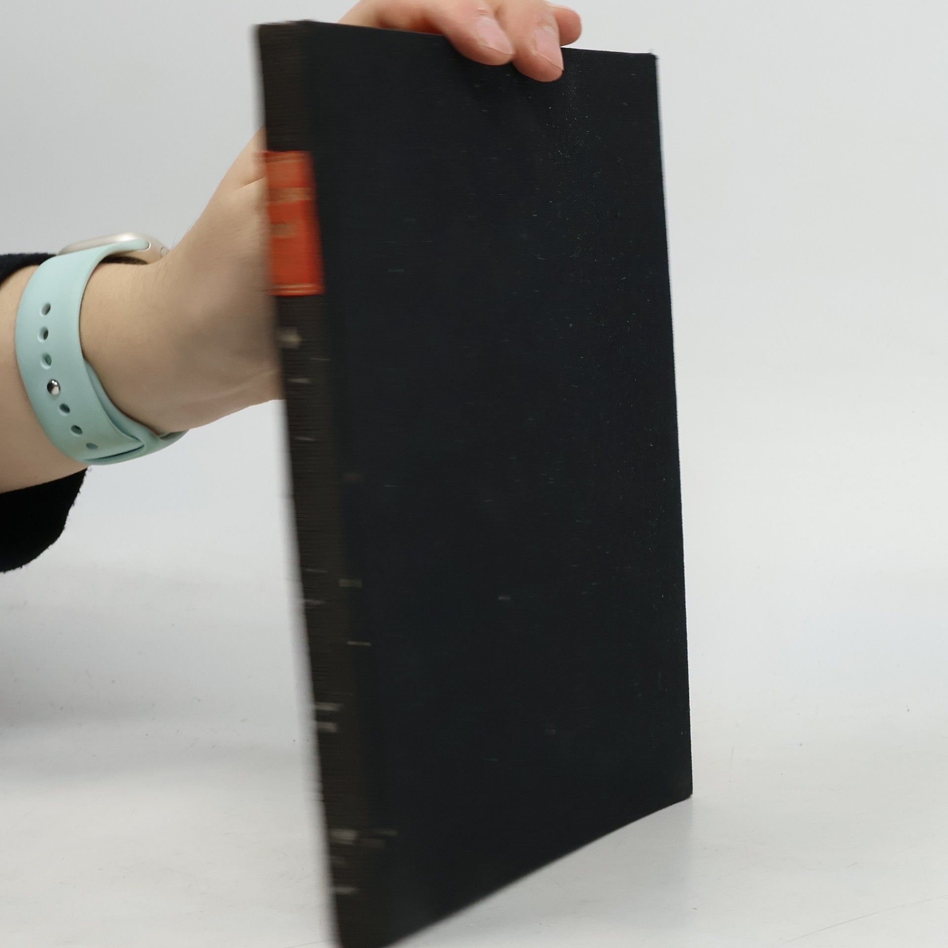 Petr Bezruč Slezské písně