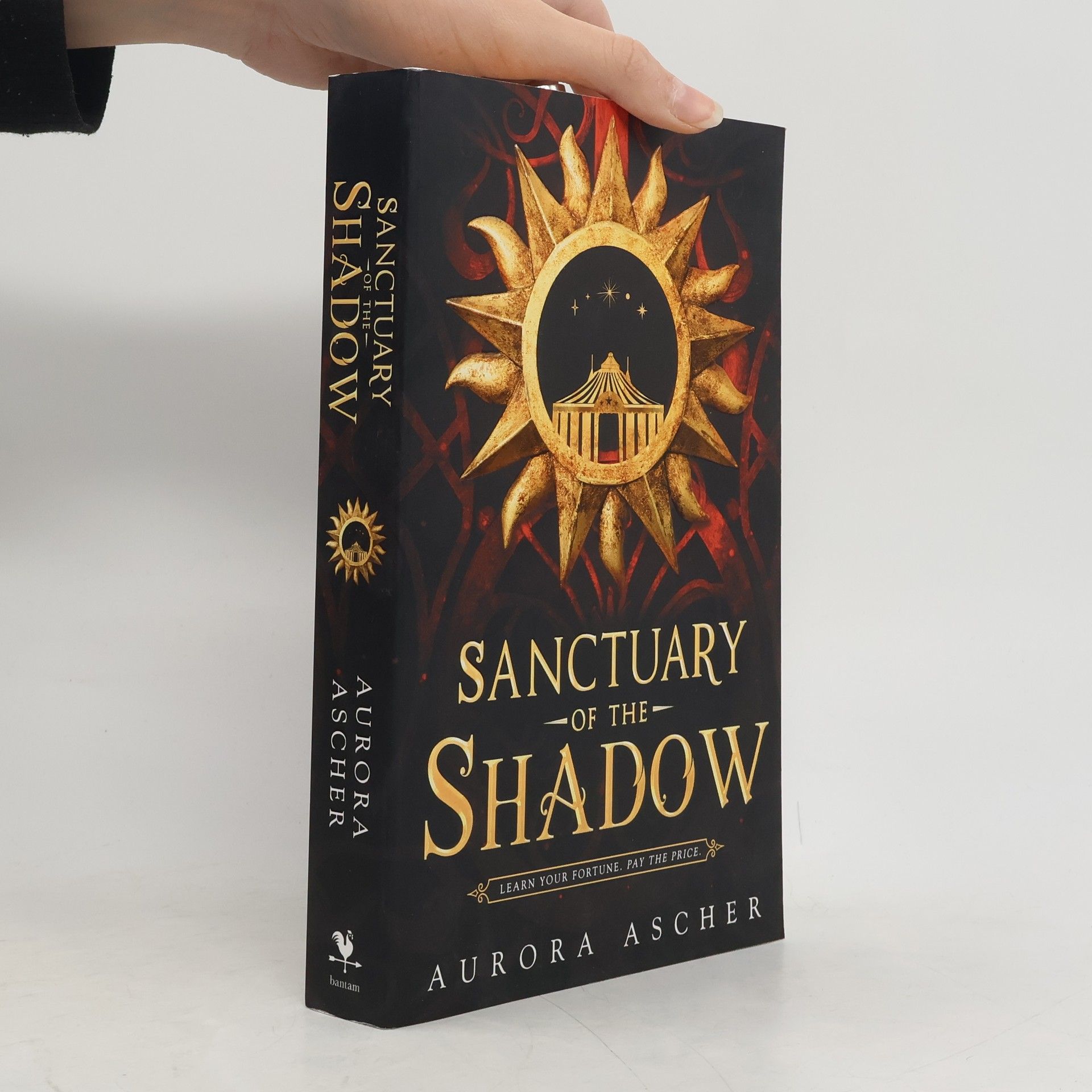 Aurora Ascher Sanctuary of the Shadow: The most gripp