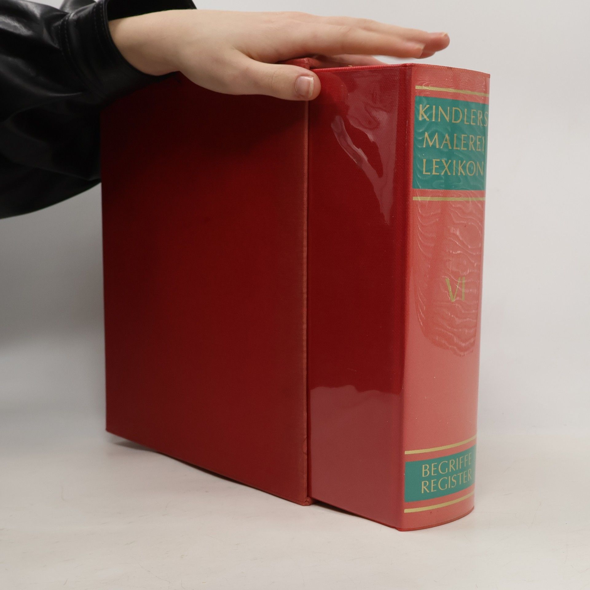Auteurscollectief Kindlers Malerei Lexikon VI